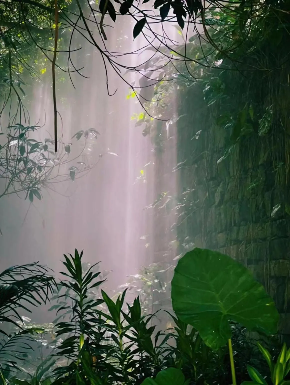 Other in City Hotel Xiamen