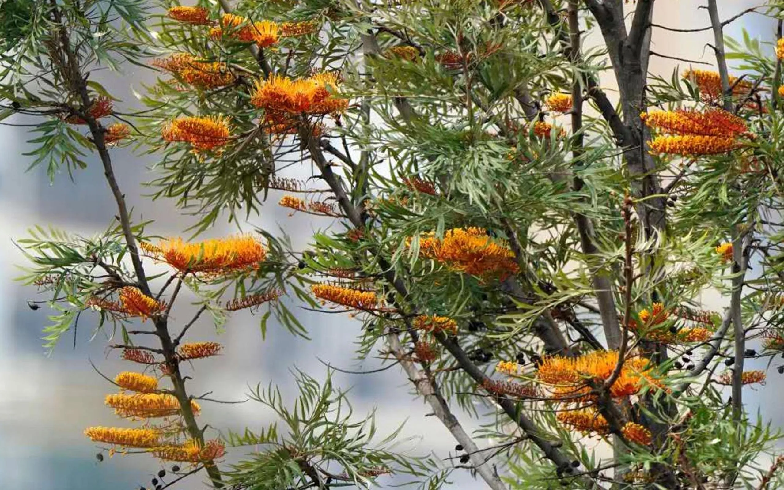 Garden in City Hotel Xiamen