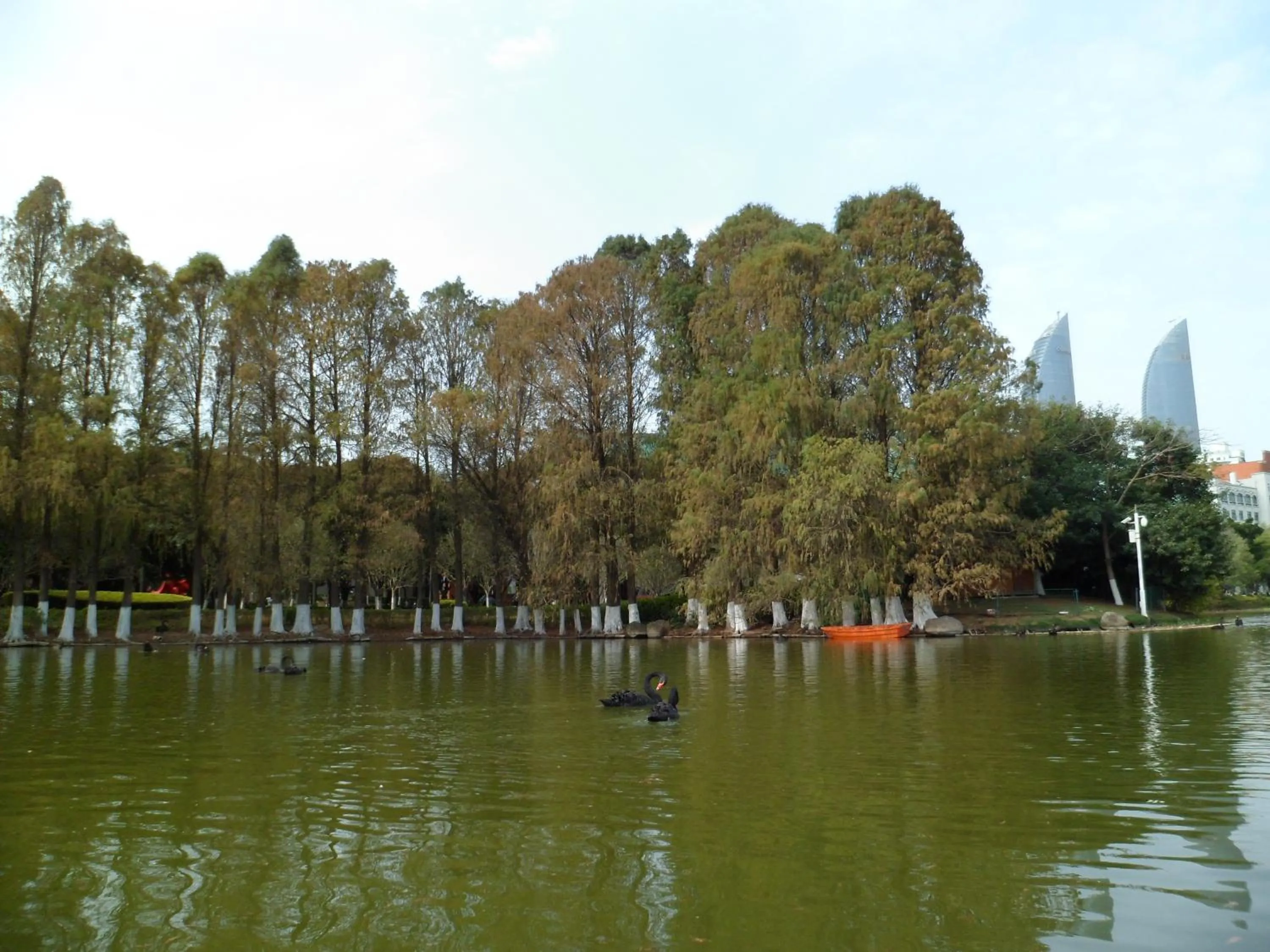 Other in City Hotel Xiamen