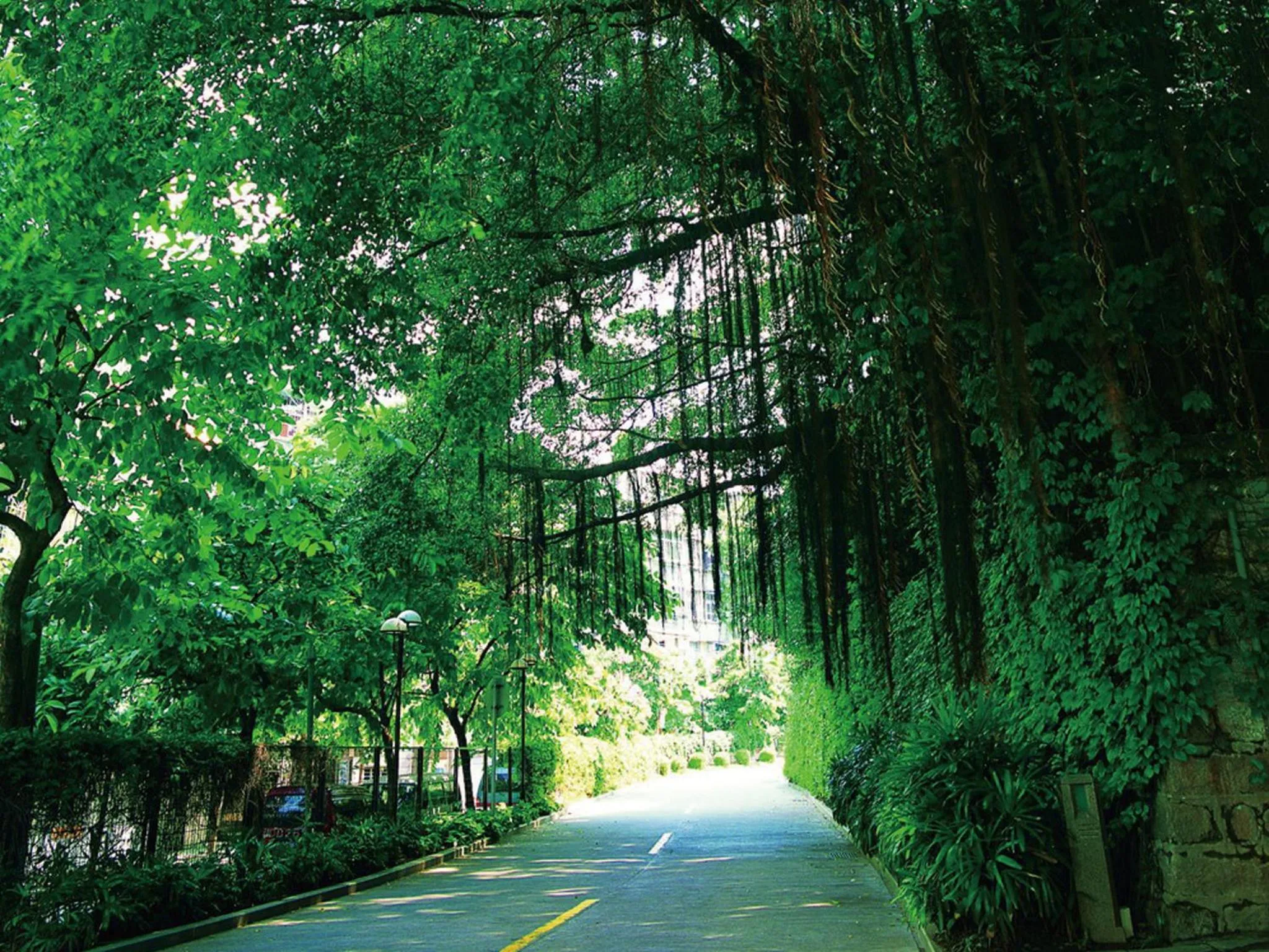 Garden view in City Hotel Xiamen
