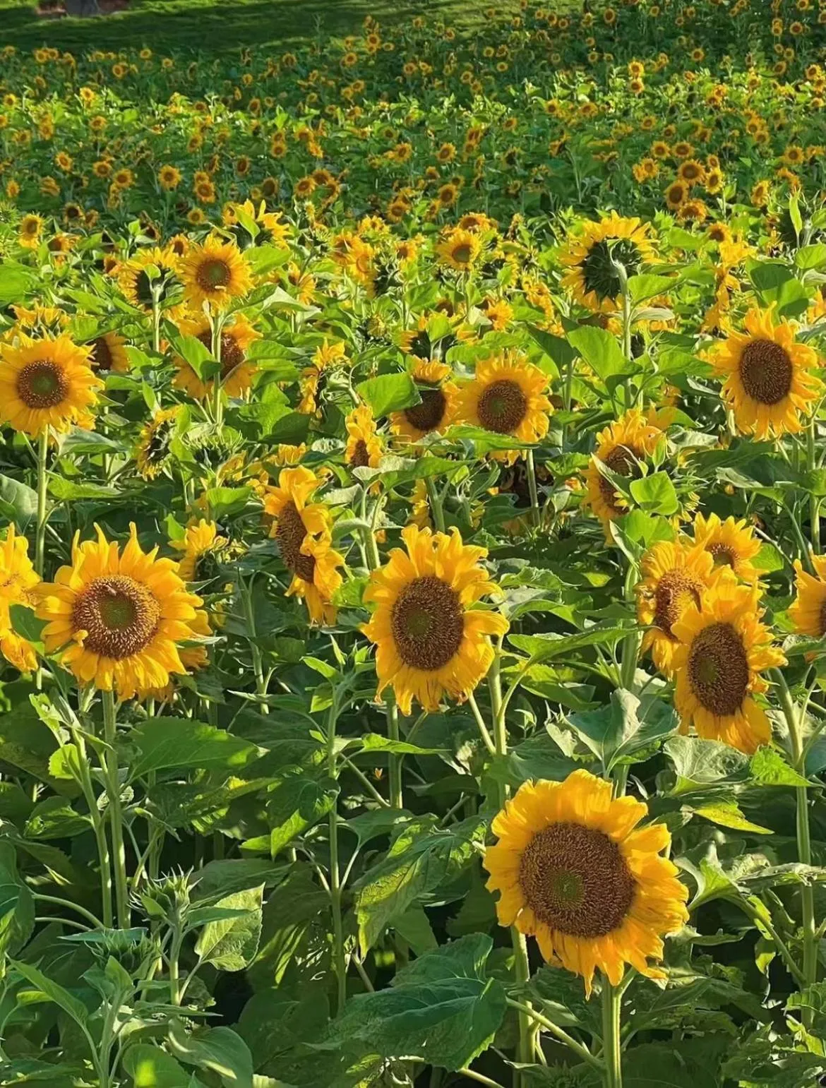 Other in City Hotel Xiamen