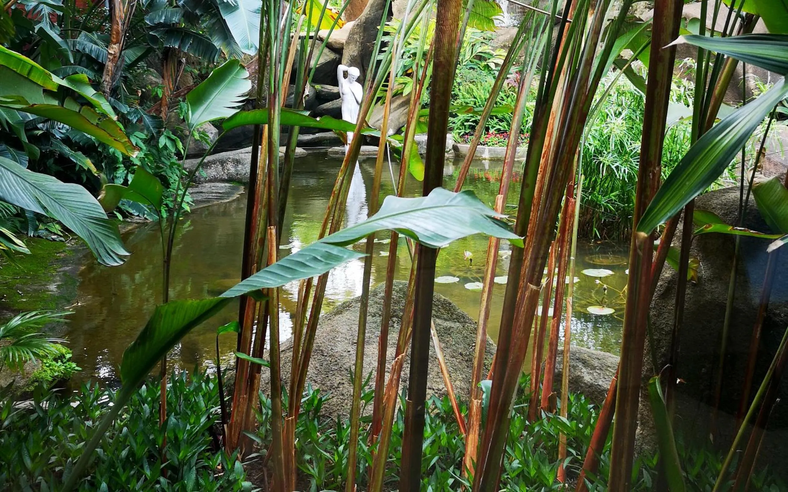 Garden in City Hotel Xiamen