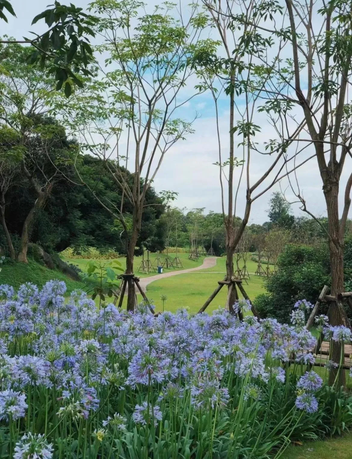 Other in City Hotel Xiamen