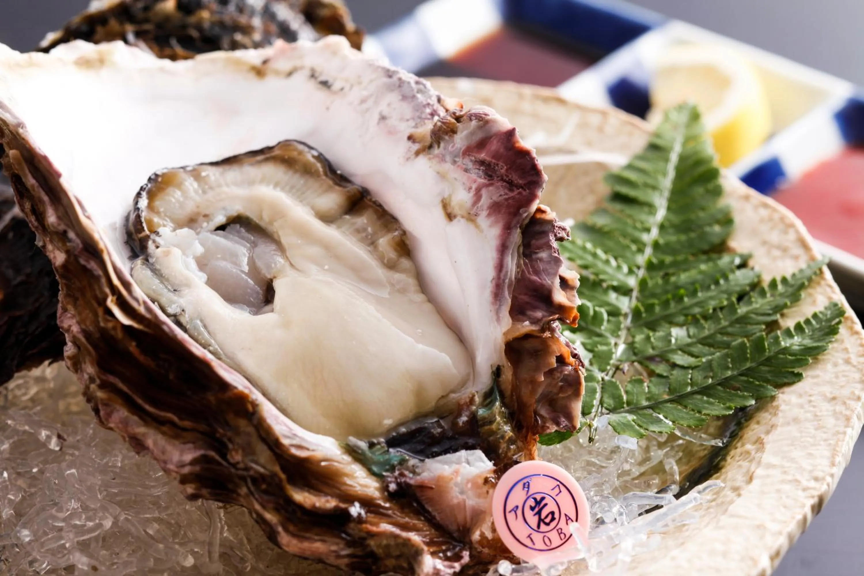 Food close-up in Sun Urashima Yuki no Sato