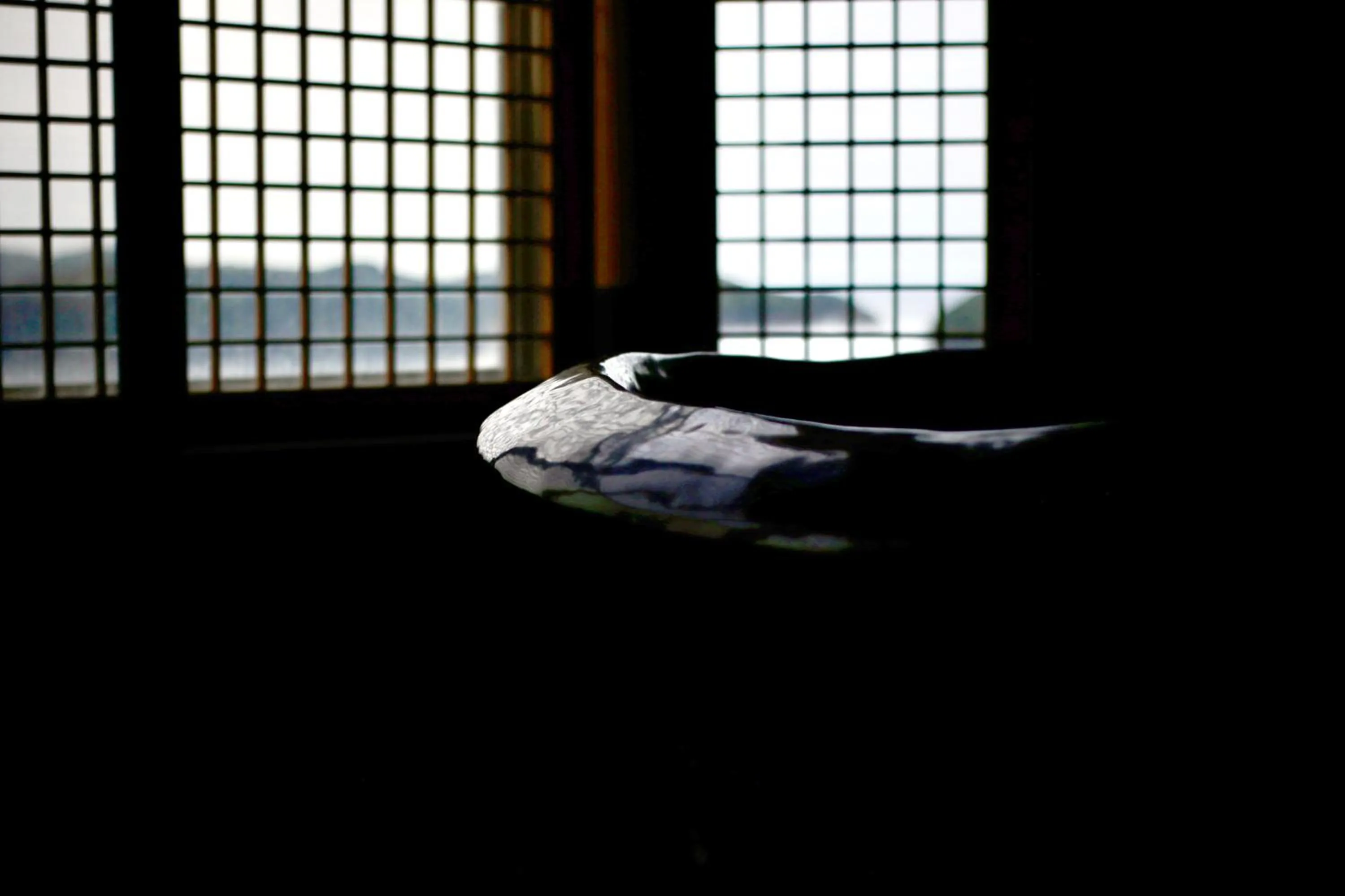 Bathroom in Sun Urashima Yuki no Sato