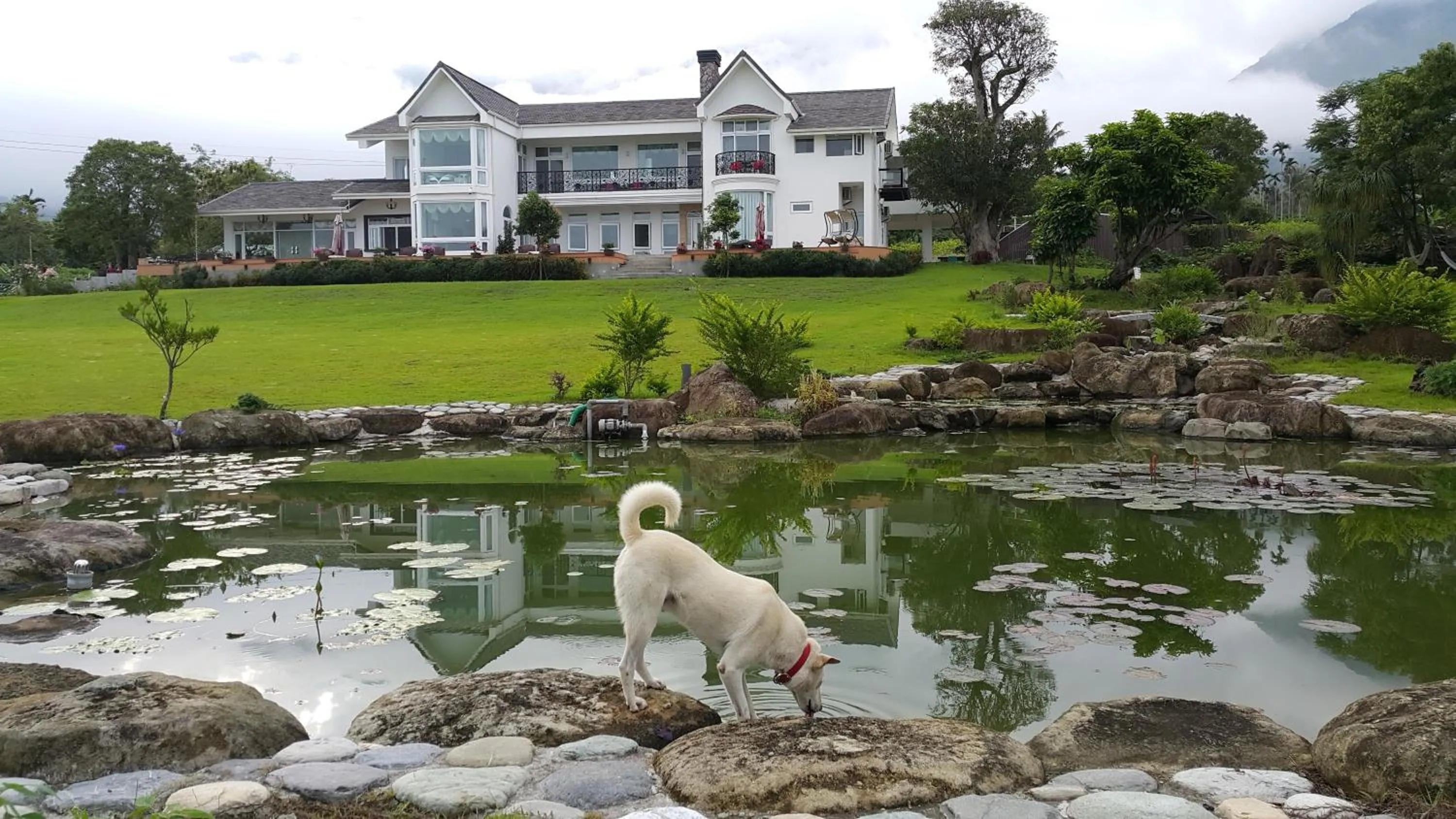 Property building in Dear Garden