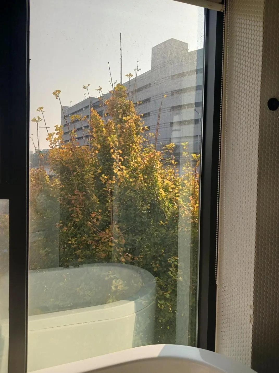 View (from property/room) in 31page