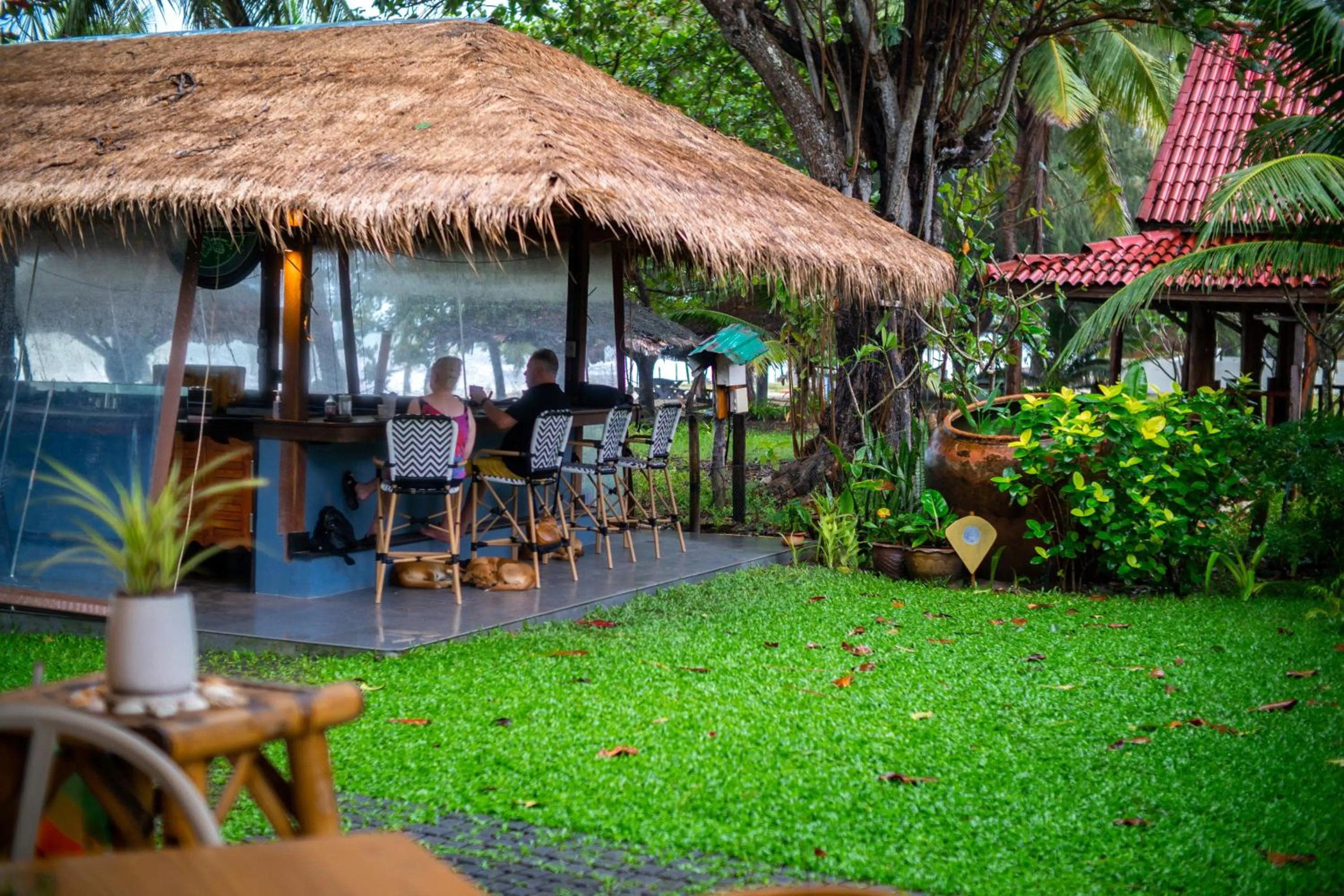 Area and facilities in Margarita Beach