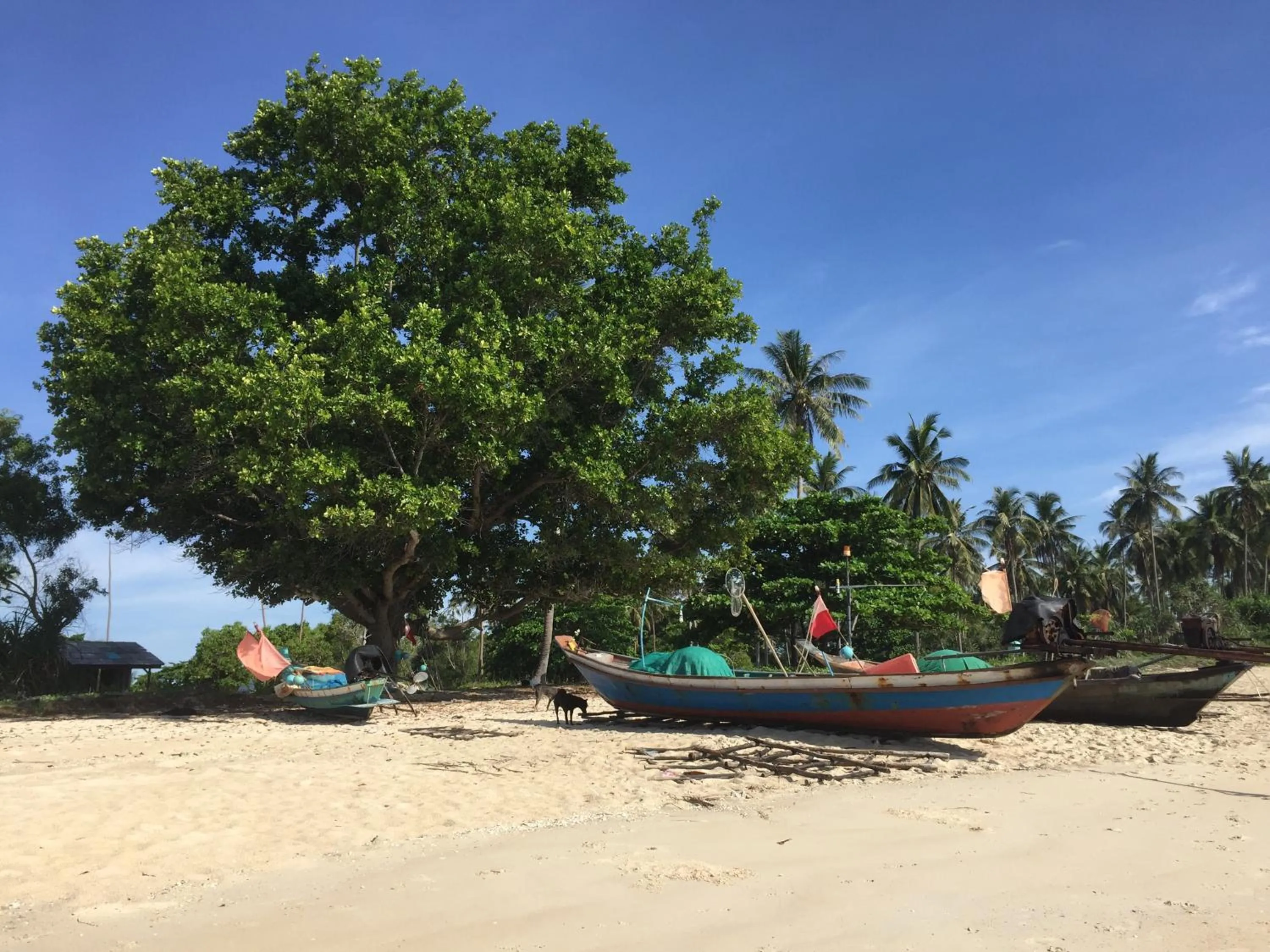 Beach in Margarita Beach