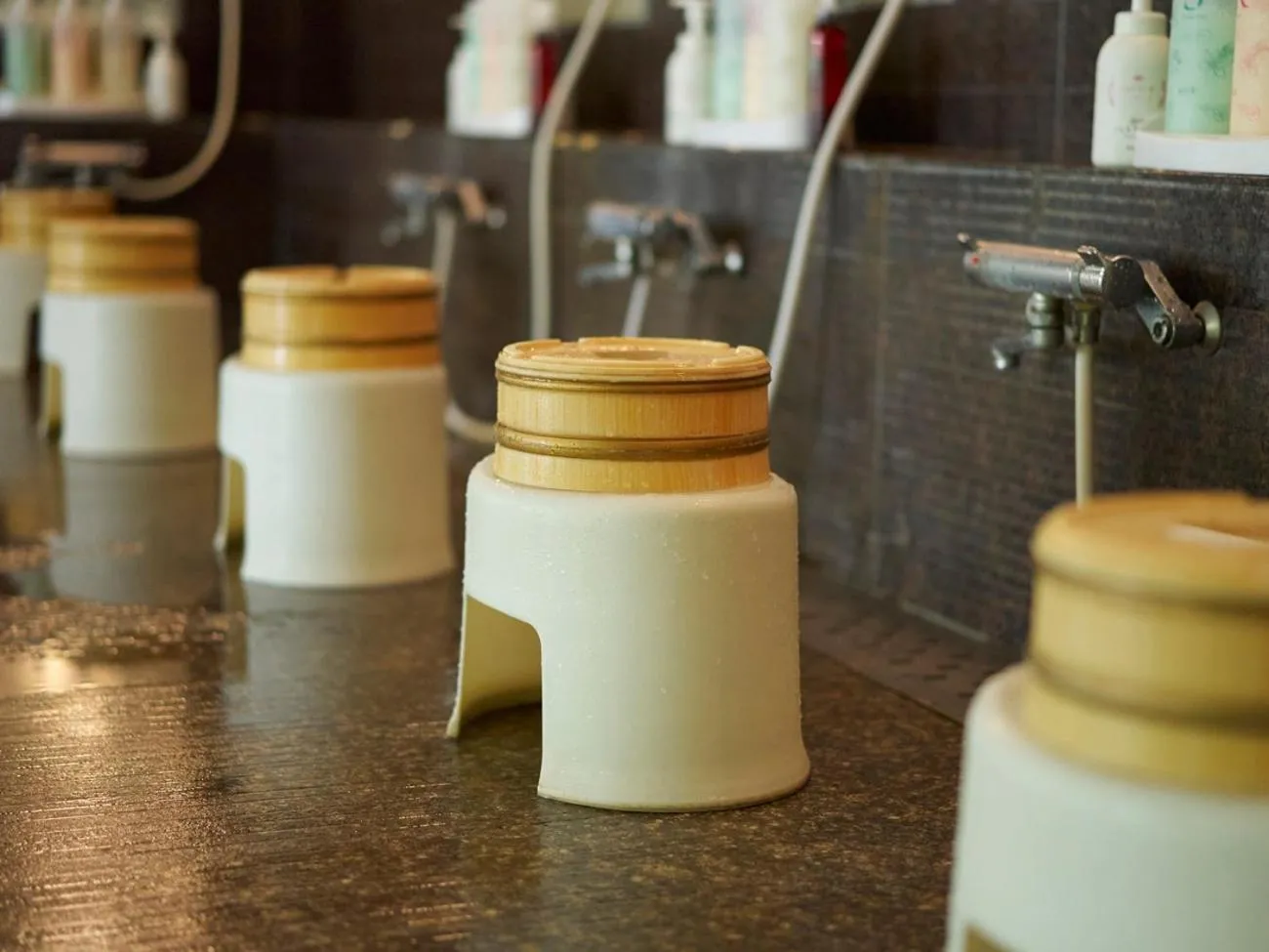 Hot Spring Bath in Hakone Yumoto hotel