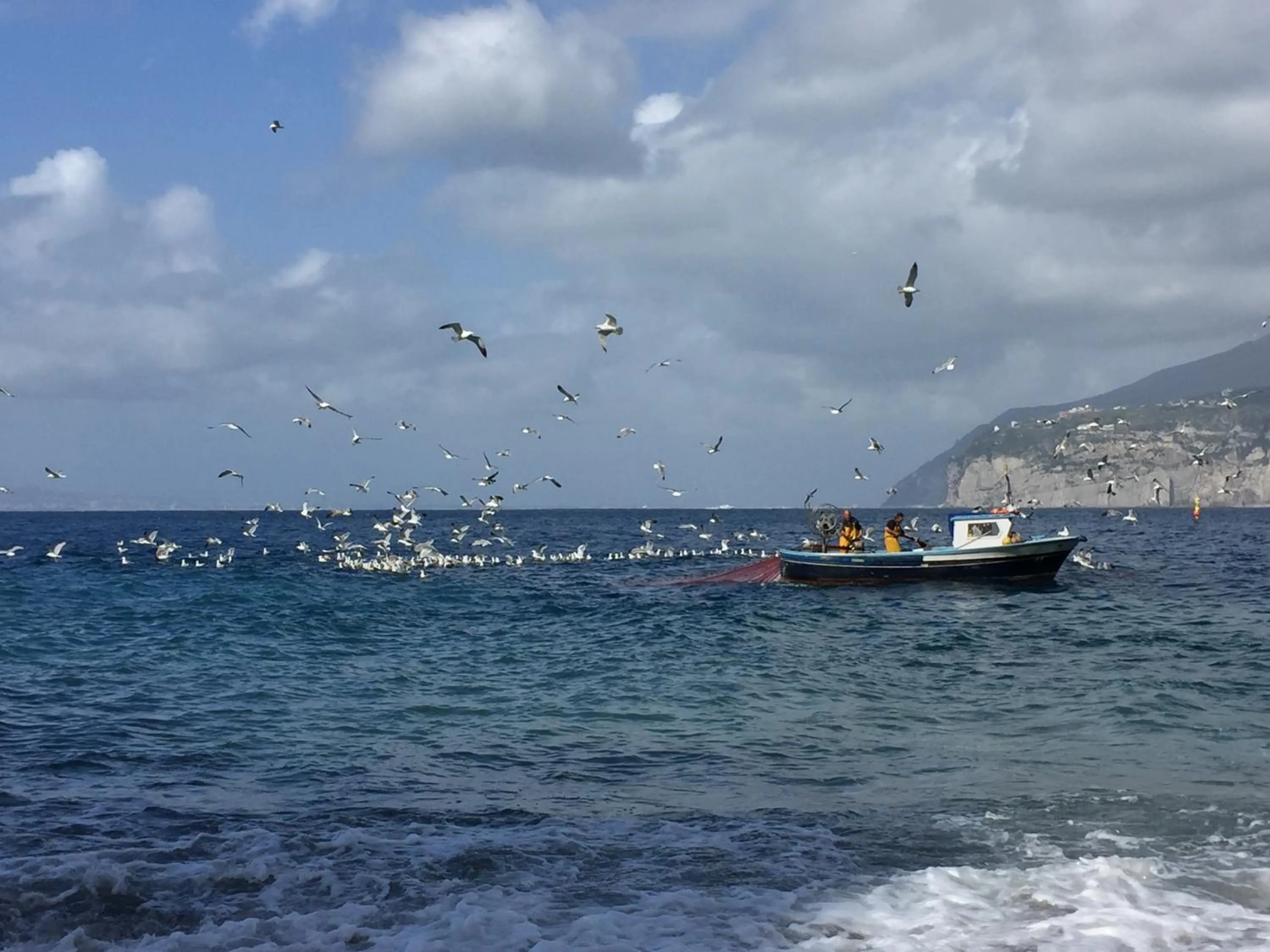 Fishing in Hotel La Tonnarella