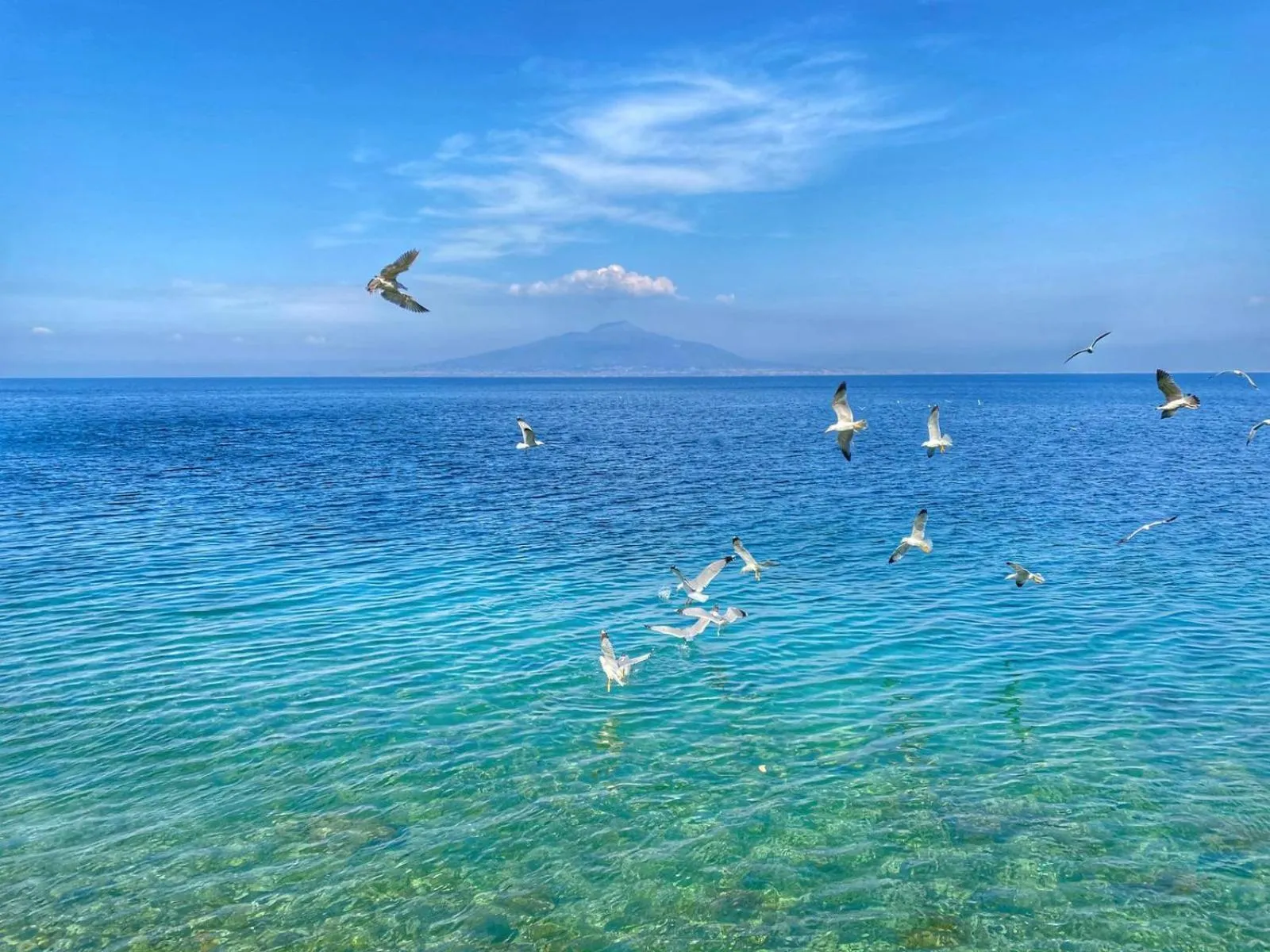 Sea view in Hotel La Tonnarella