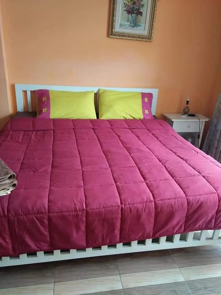 Bed in Concordia Guesthouse