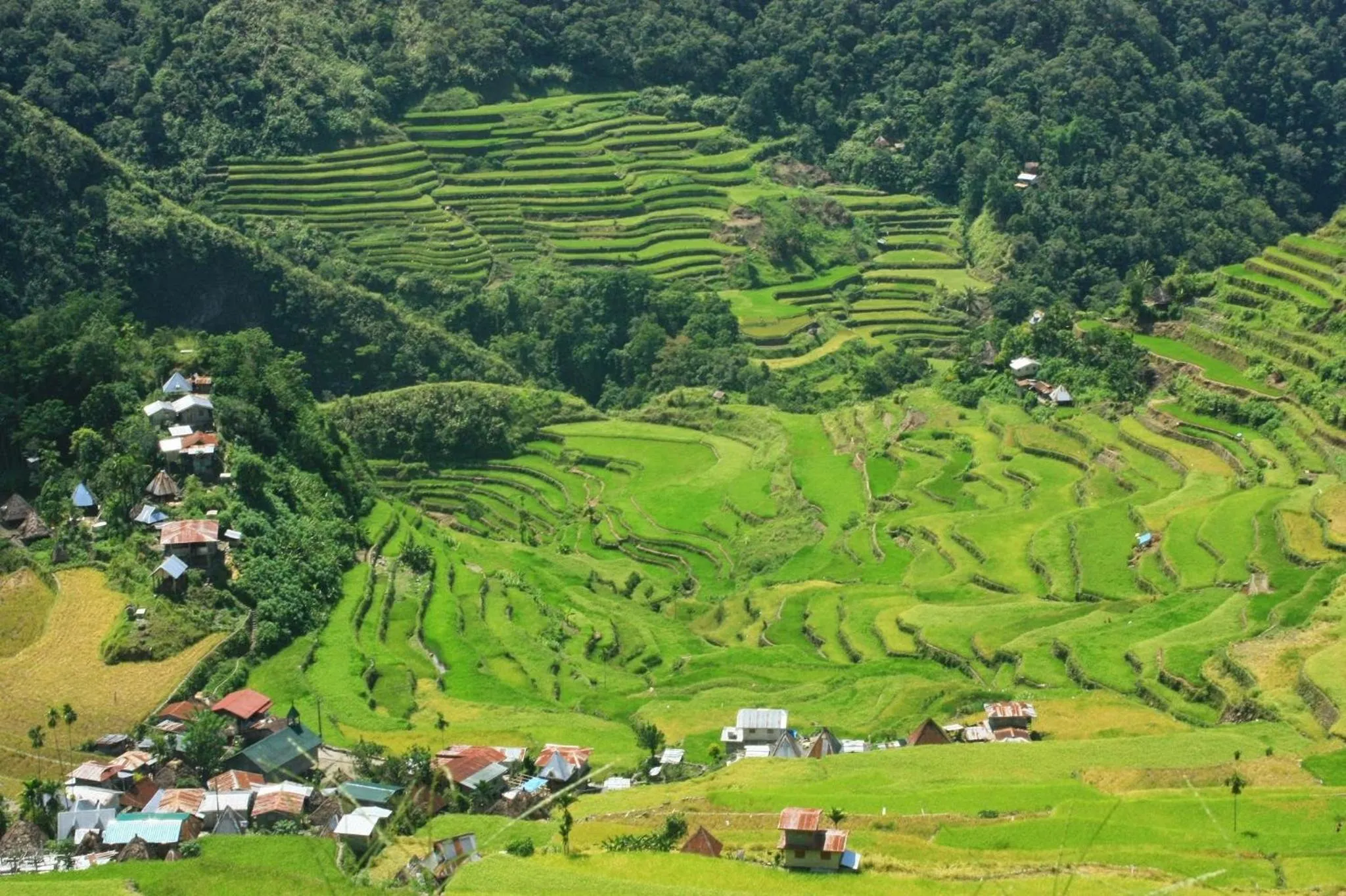 Bird's eye view in Batad Transient House