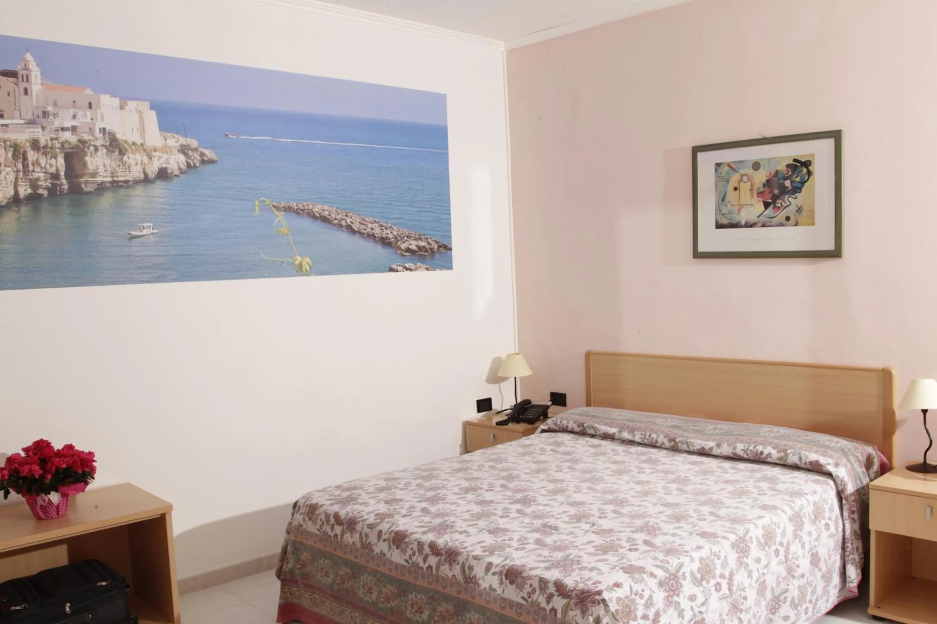 Photo of the whole room in Hotel Club Bellavista