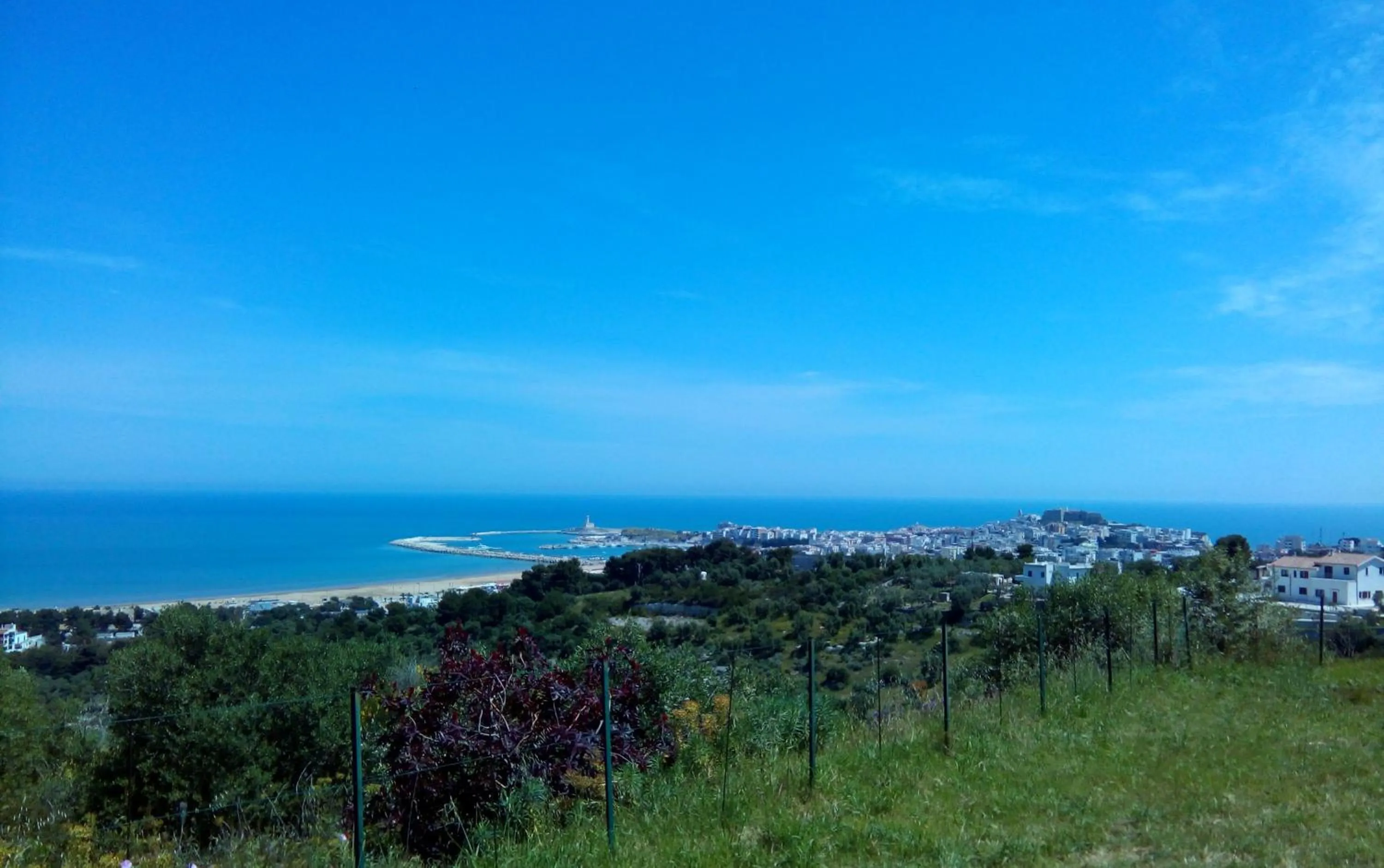 View (from property/room) in Hotel Club Bellavista