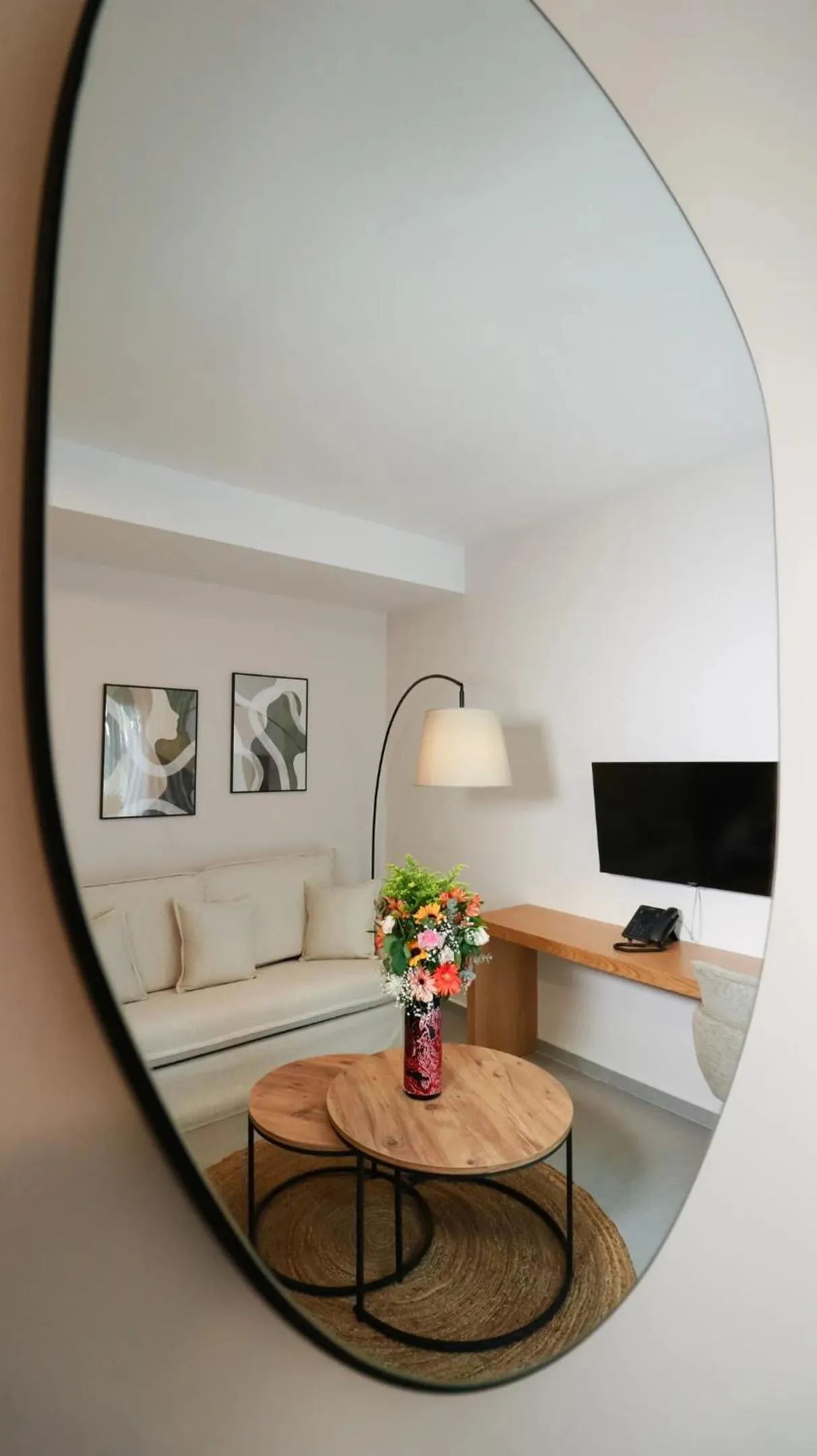 TV and multimedia in LIMNI Boutique Experience Evia