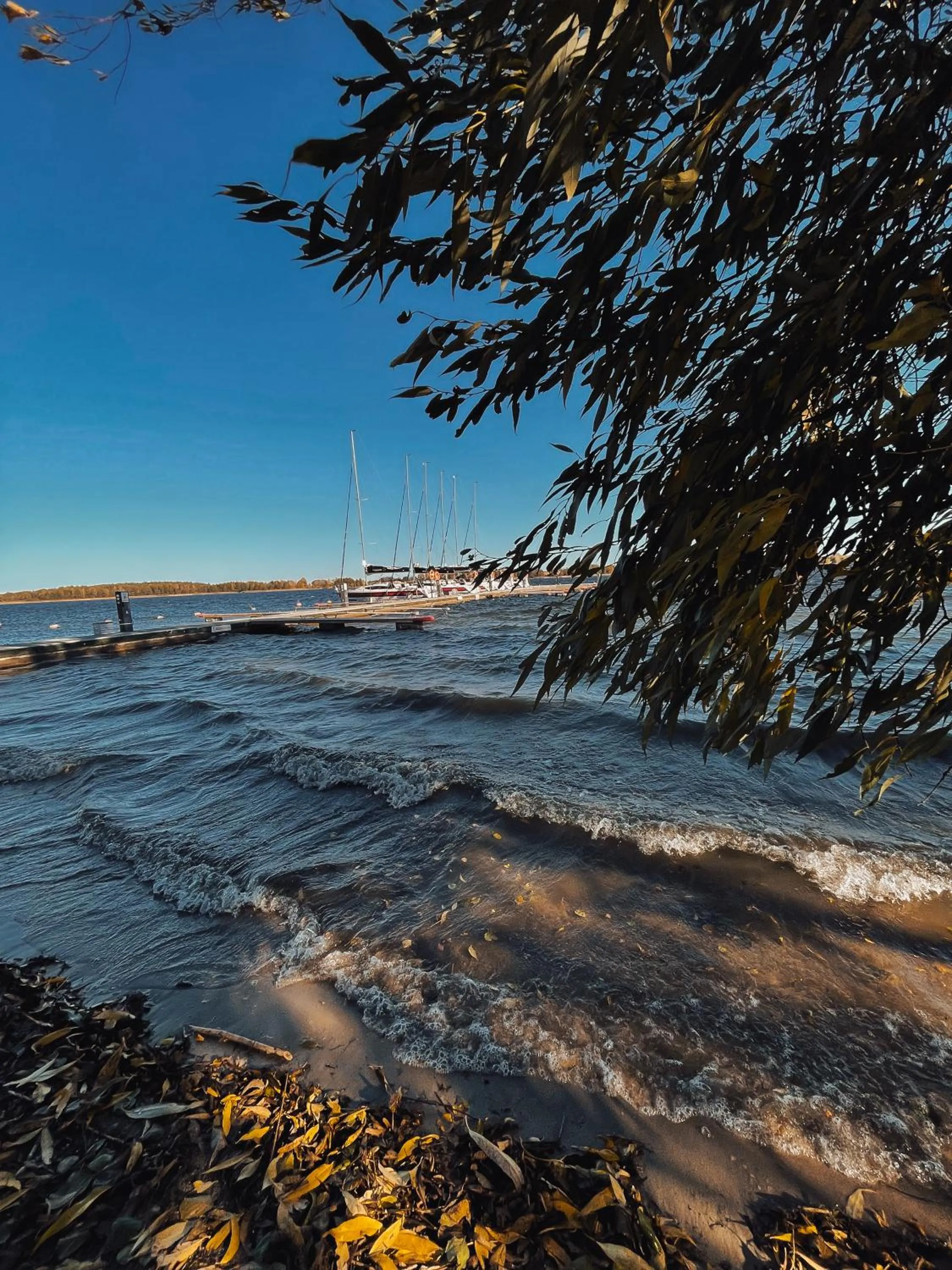 Lake view in Stare Sady Chillout Rooms "Pod Jabłoniami"