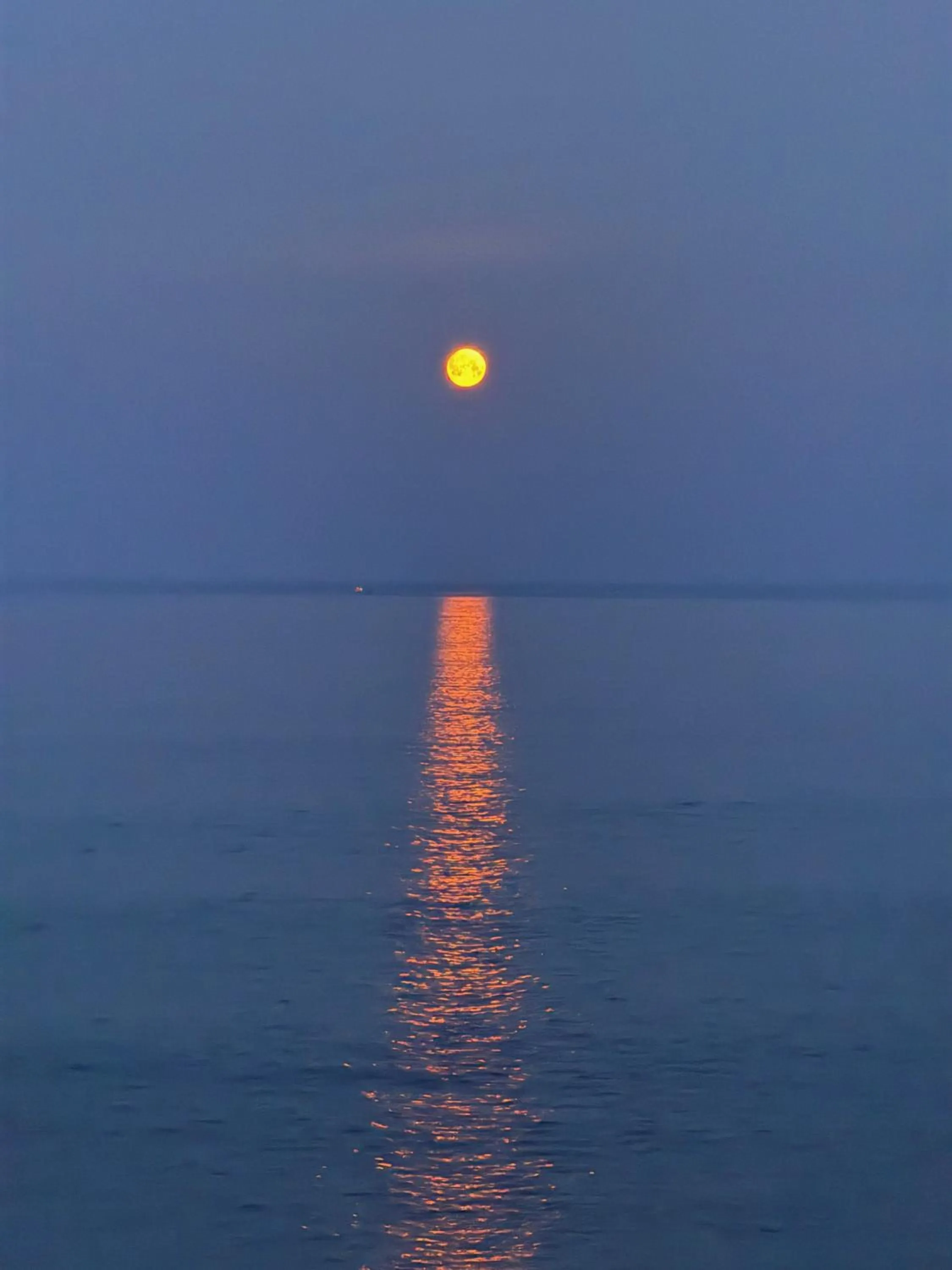 O'Neill's Bed&Breakfast