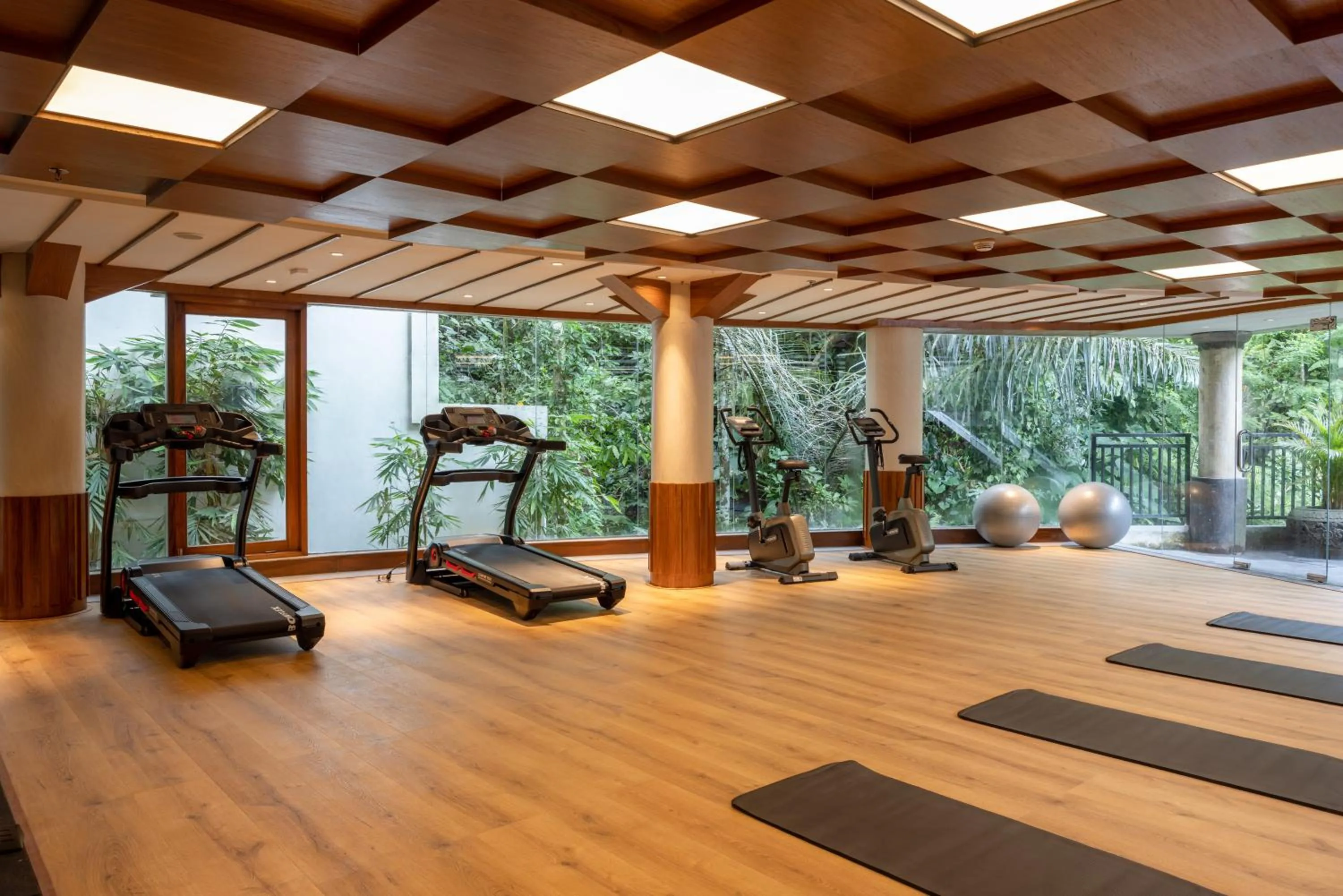 Fitness centre/facilities in Anumana De Suite