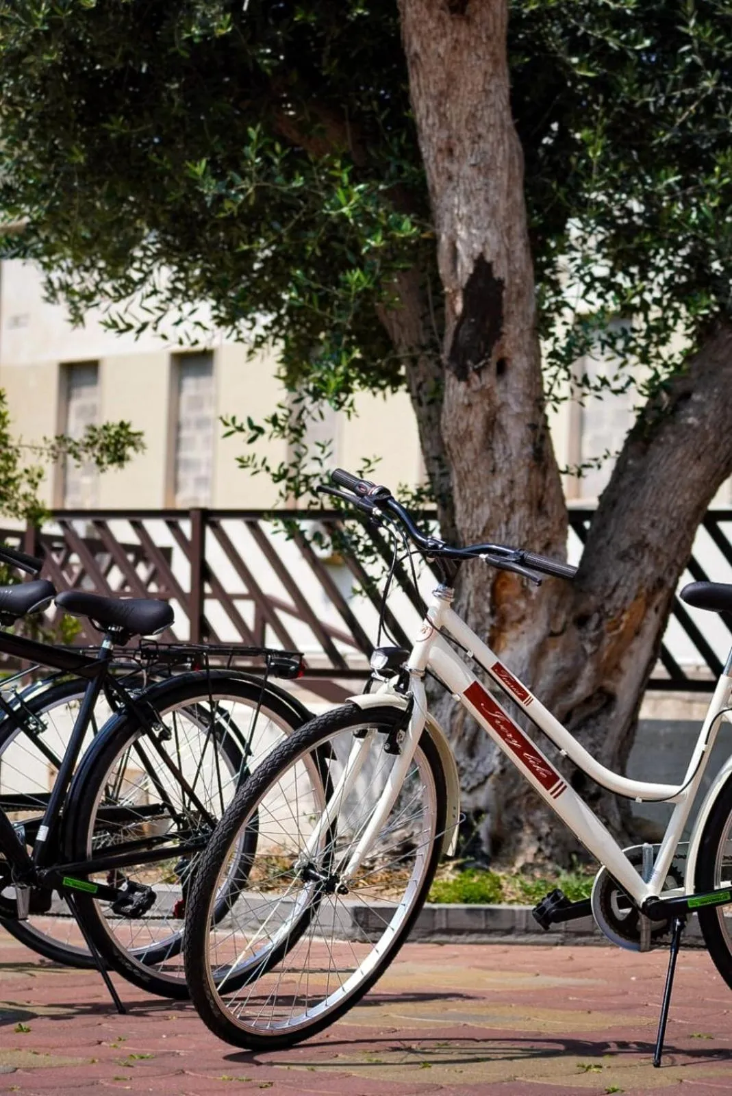 Cycling in Hotel Bastione