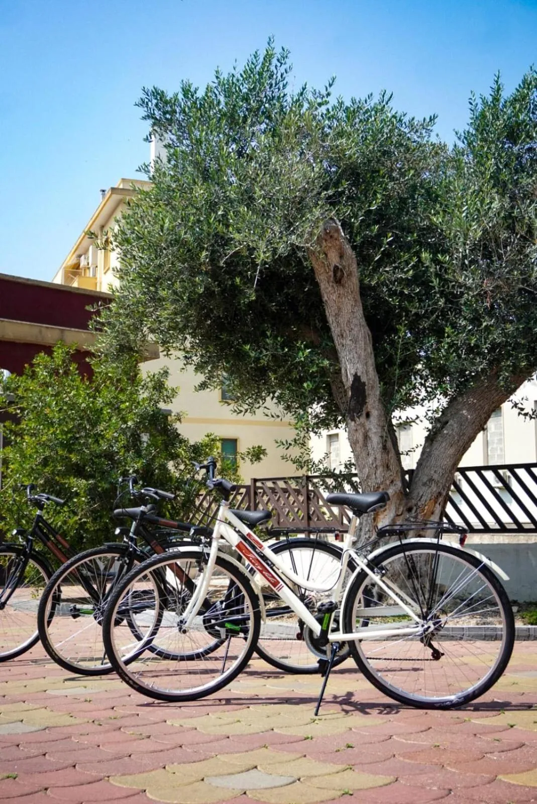 Cycling in Hotel Bastione