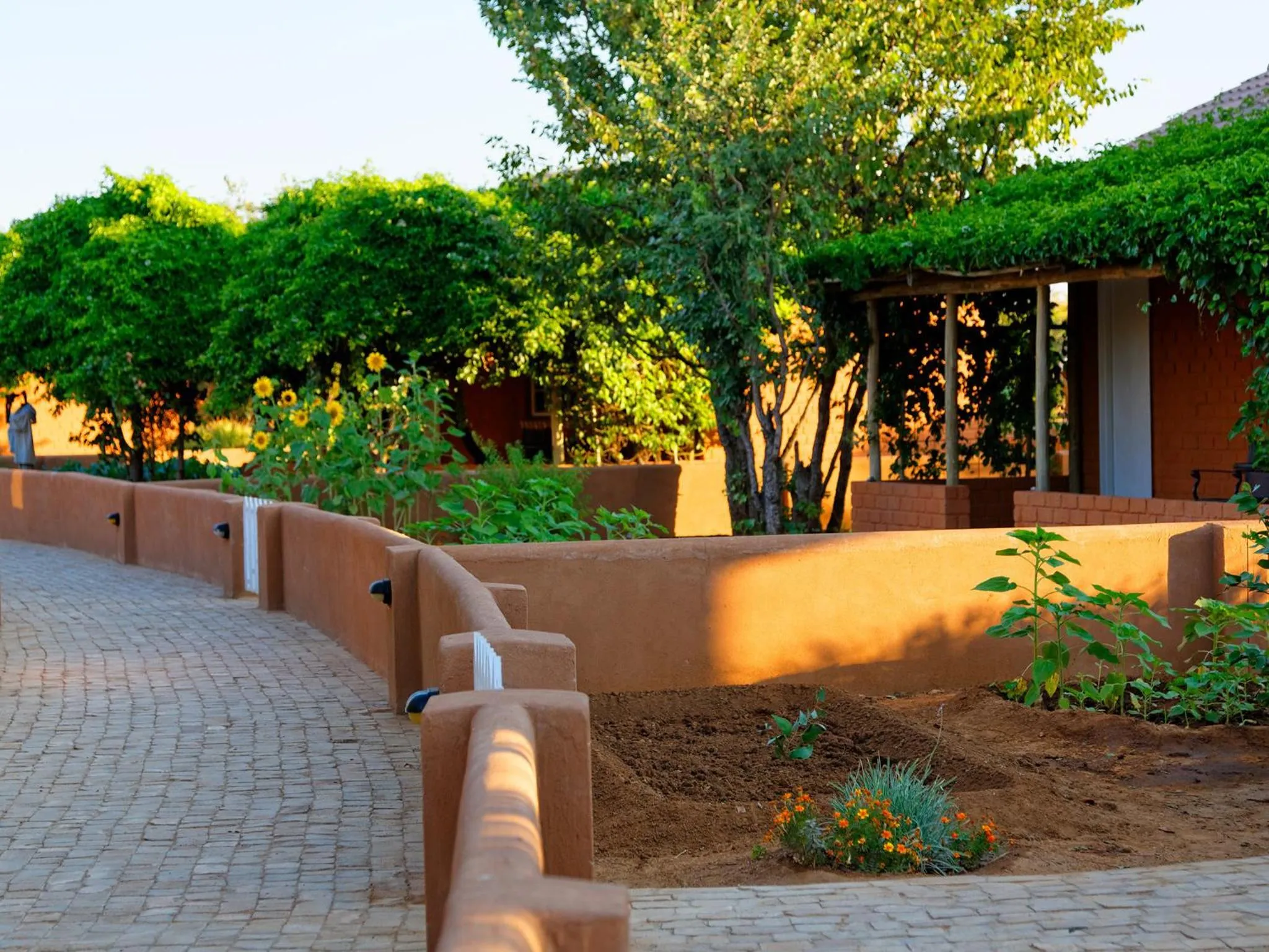 Garden in Gondwana Damara Mopane Lodge