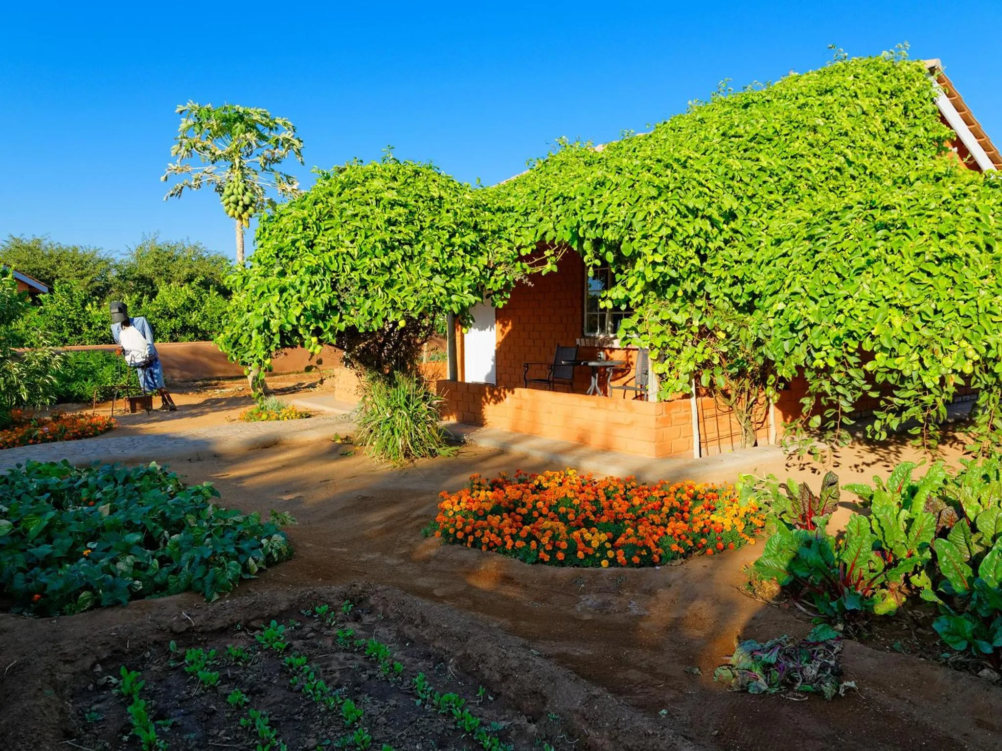 Property building in Gondwana Damara Mopane Lodge