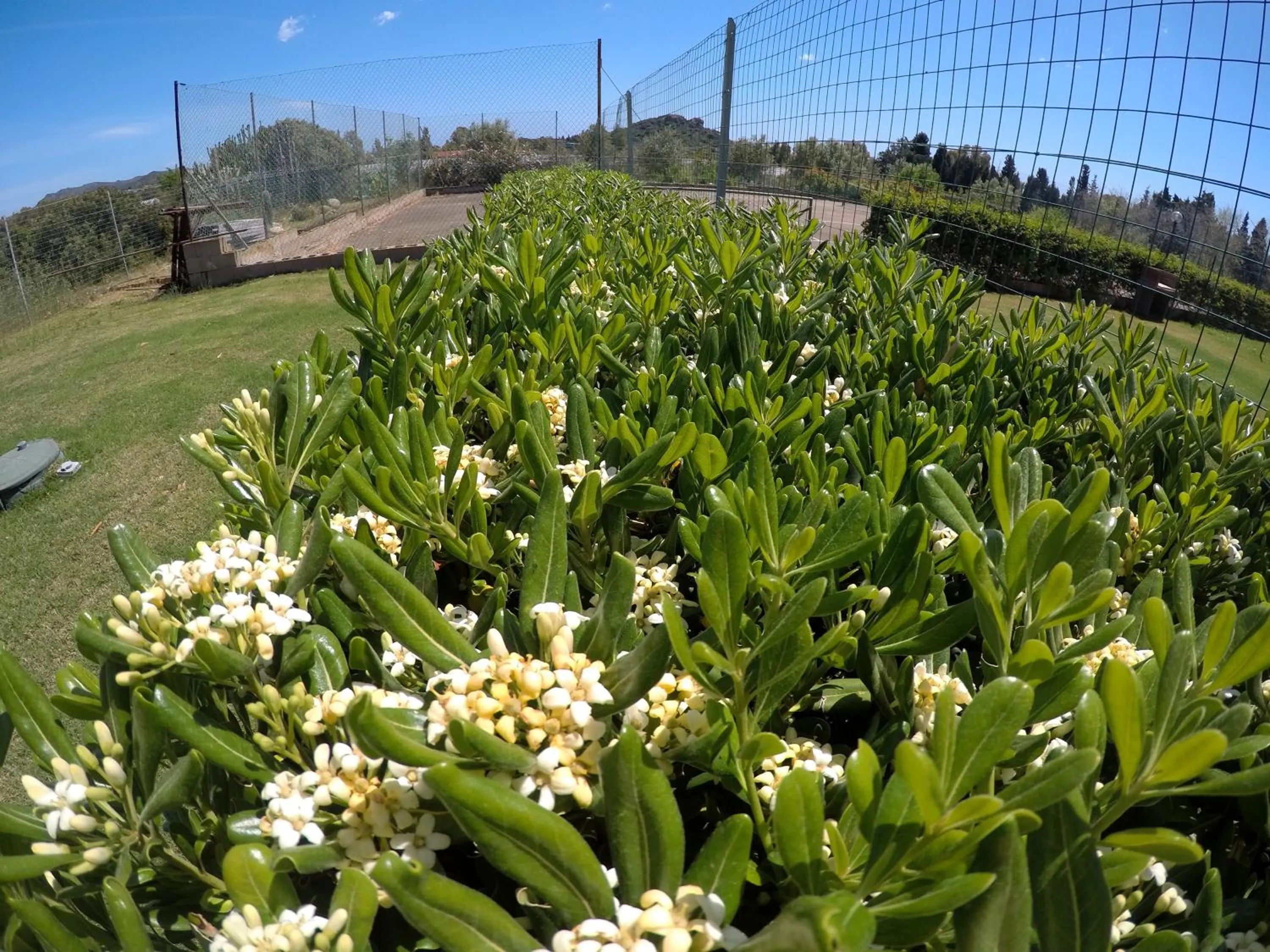 Garden in Al Sole Di Pula
