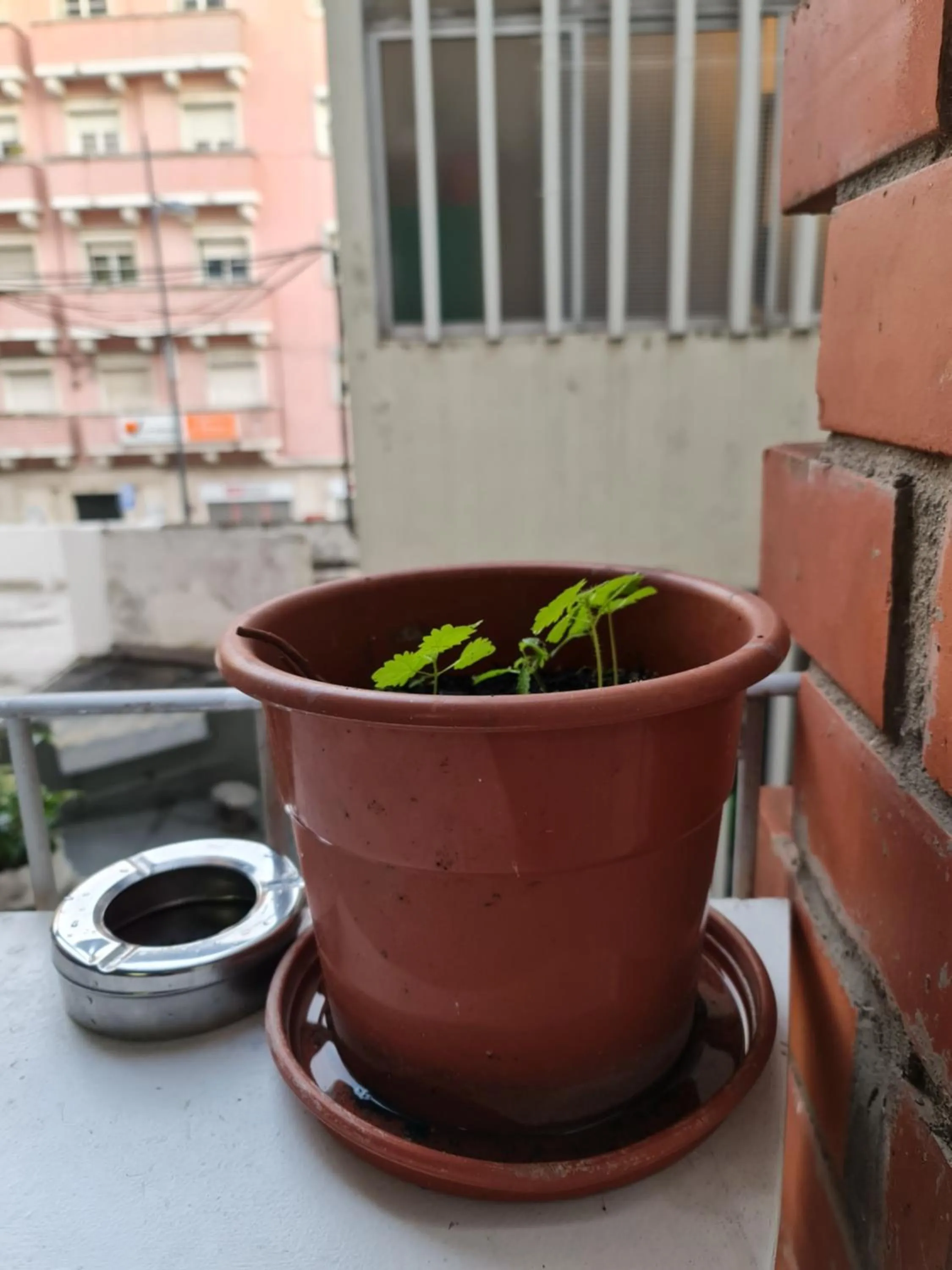 Shangri-La Hostel Anjos