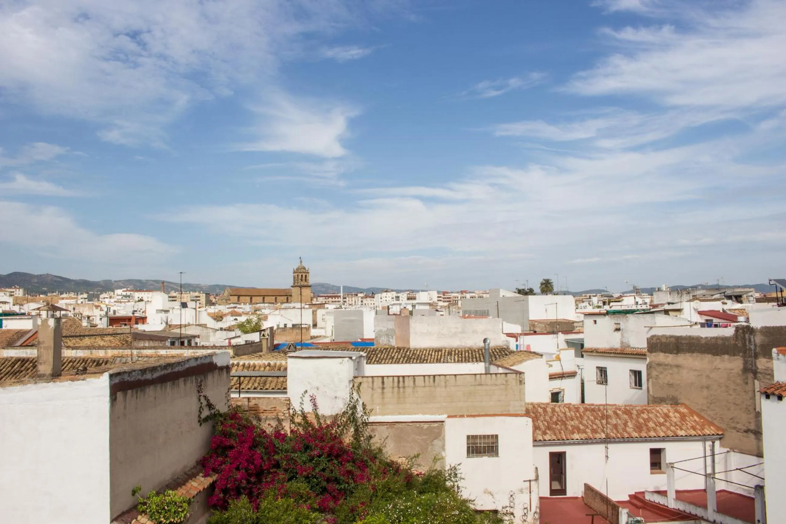 Neighbourhood in La Casa de los Faroles