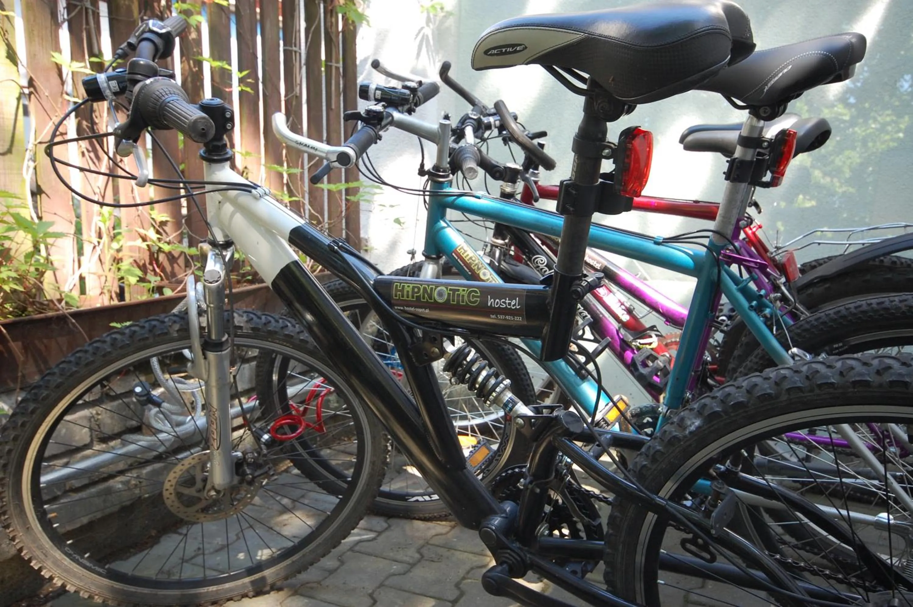 Activities in Hipnotic B&B