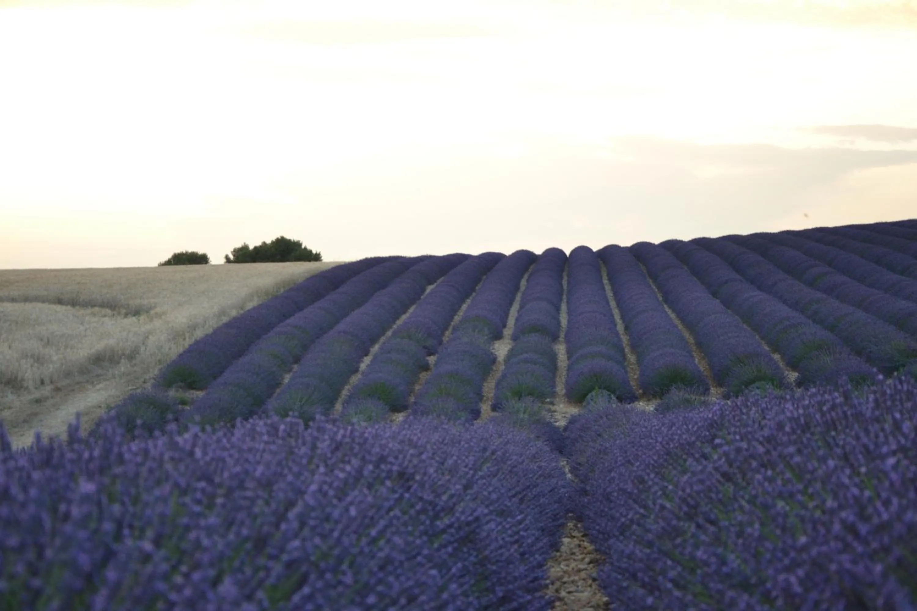 Nearby landmark in Les Terrasses de Valensole