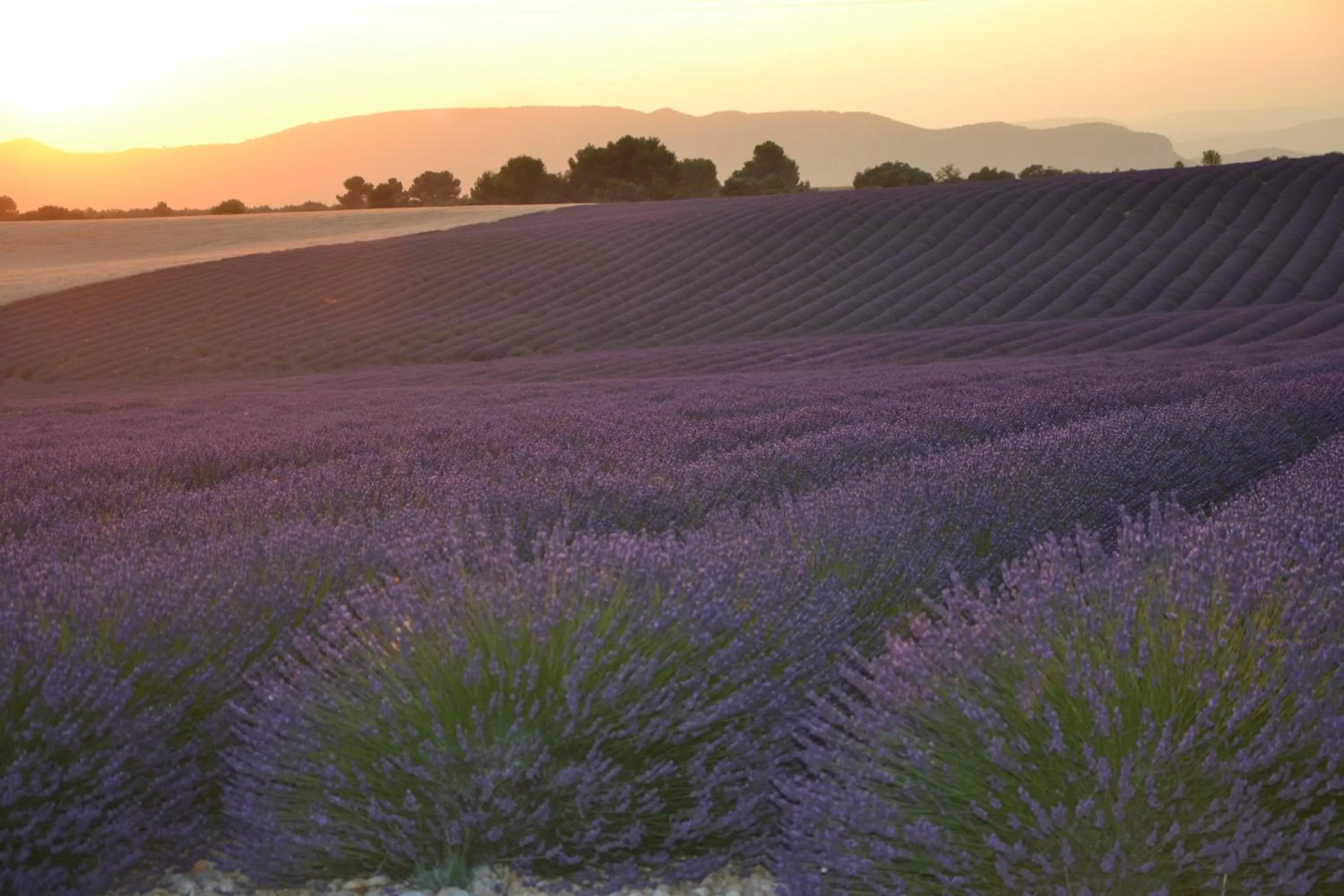 Nearby landmark in Les Terrasses de Valensole
