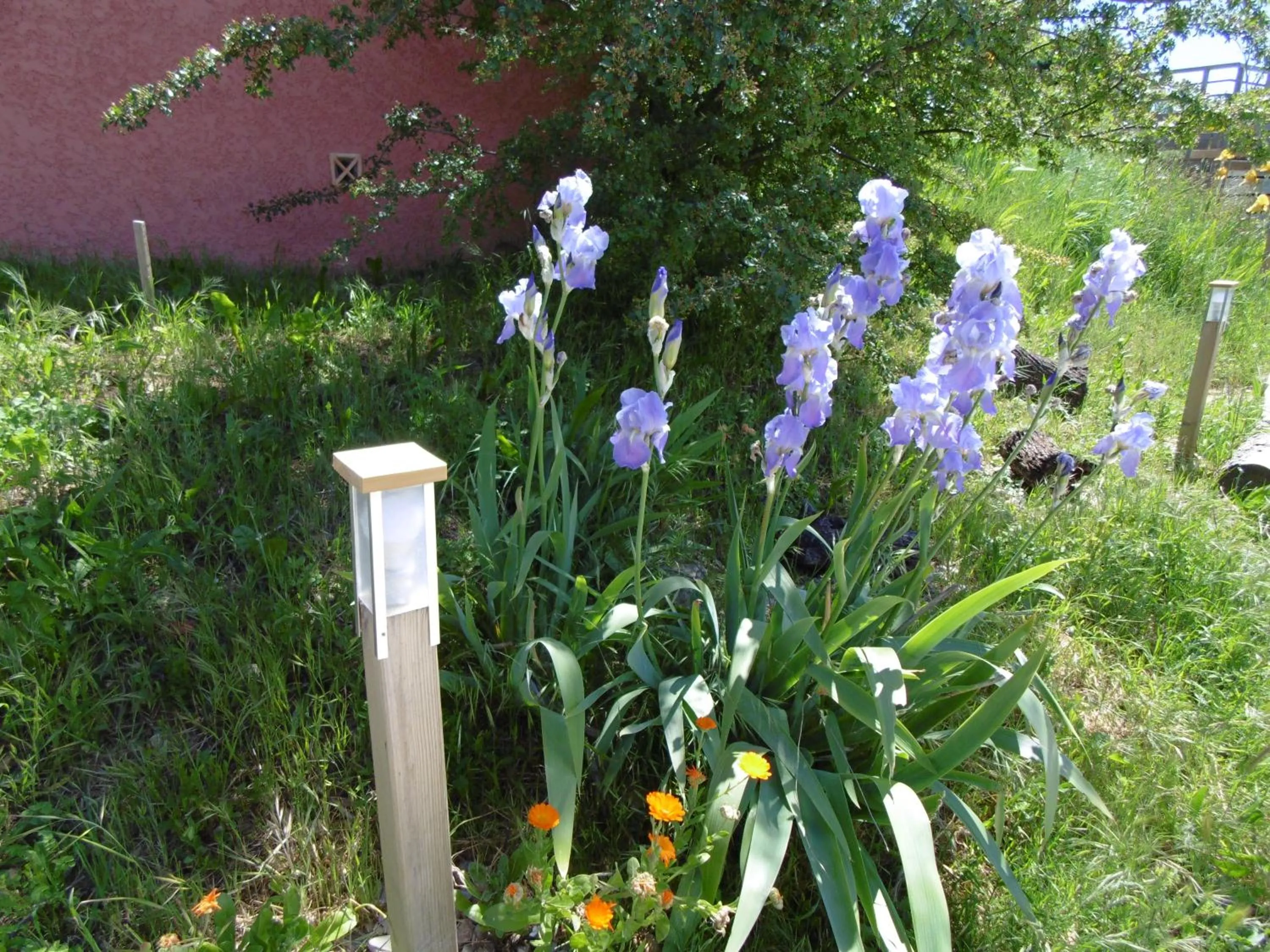 Garden in Les Terrasses de Valensole