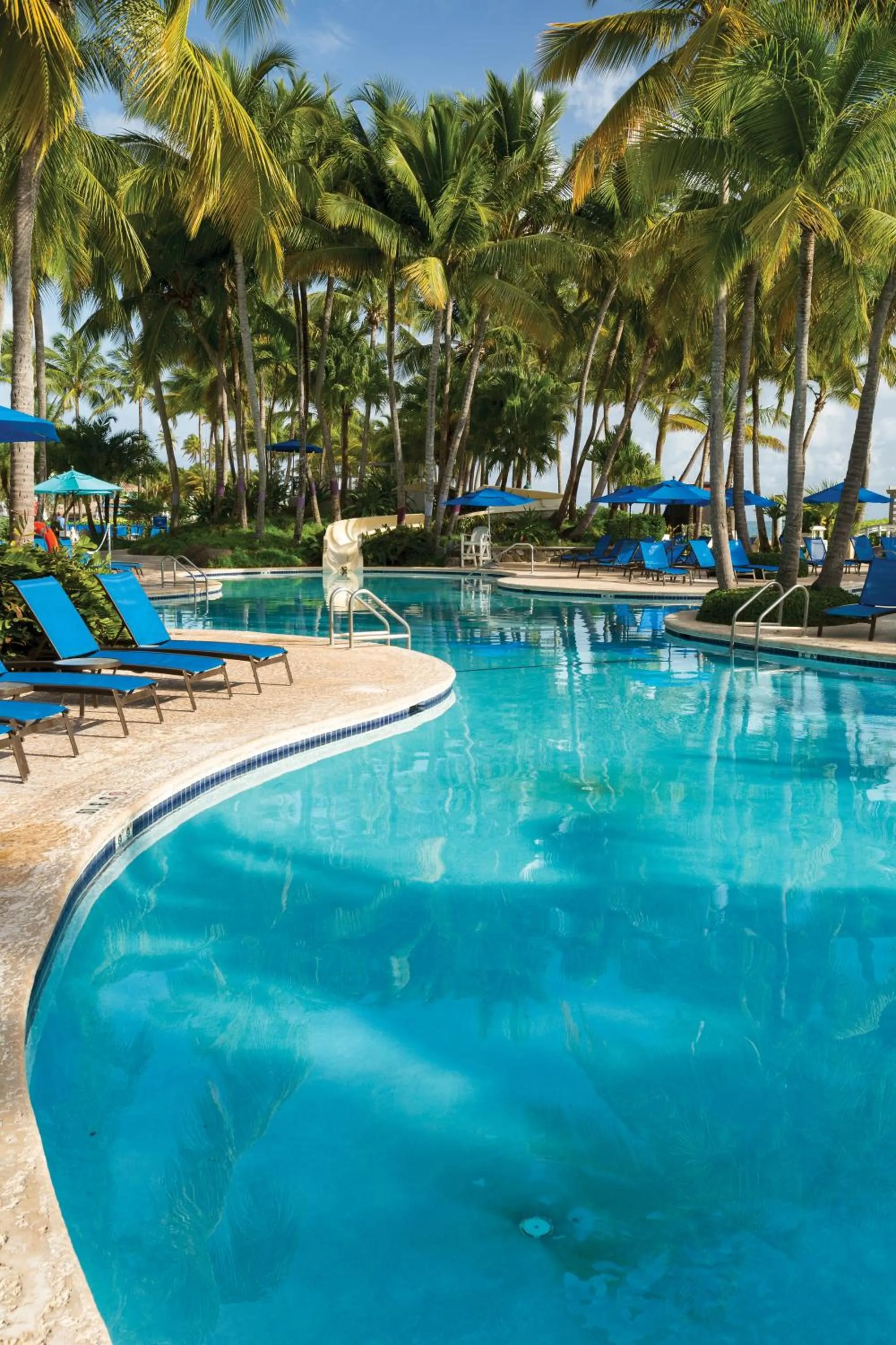 Swimming pool in Margaritaville Vacation Club - Rio Mar