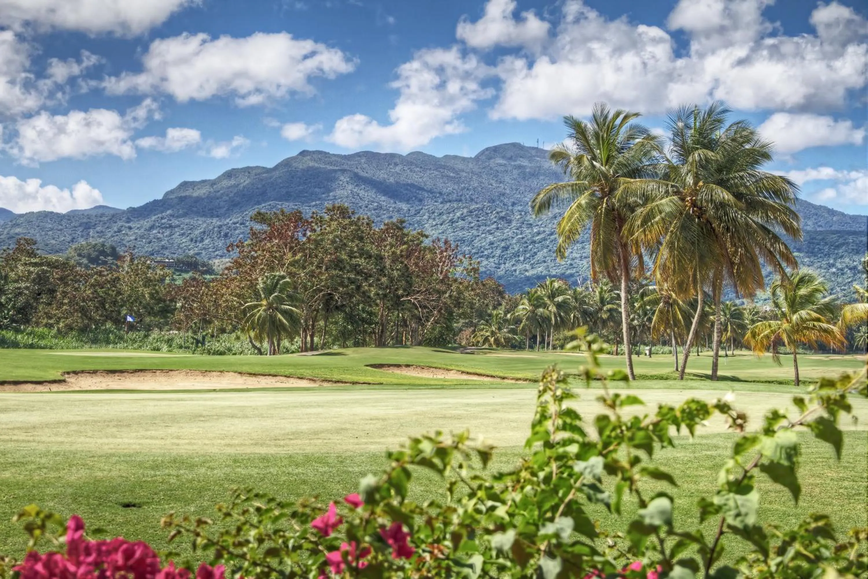 Golfcourse in Margaritaville Vacation Club - Rio Mar