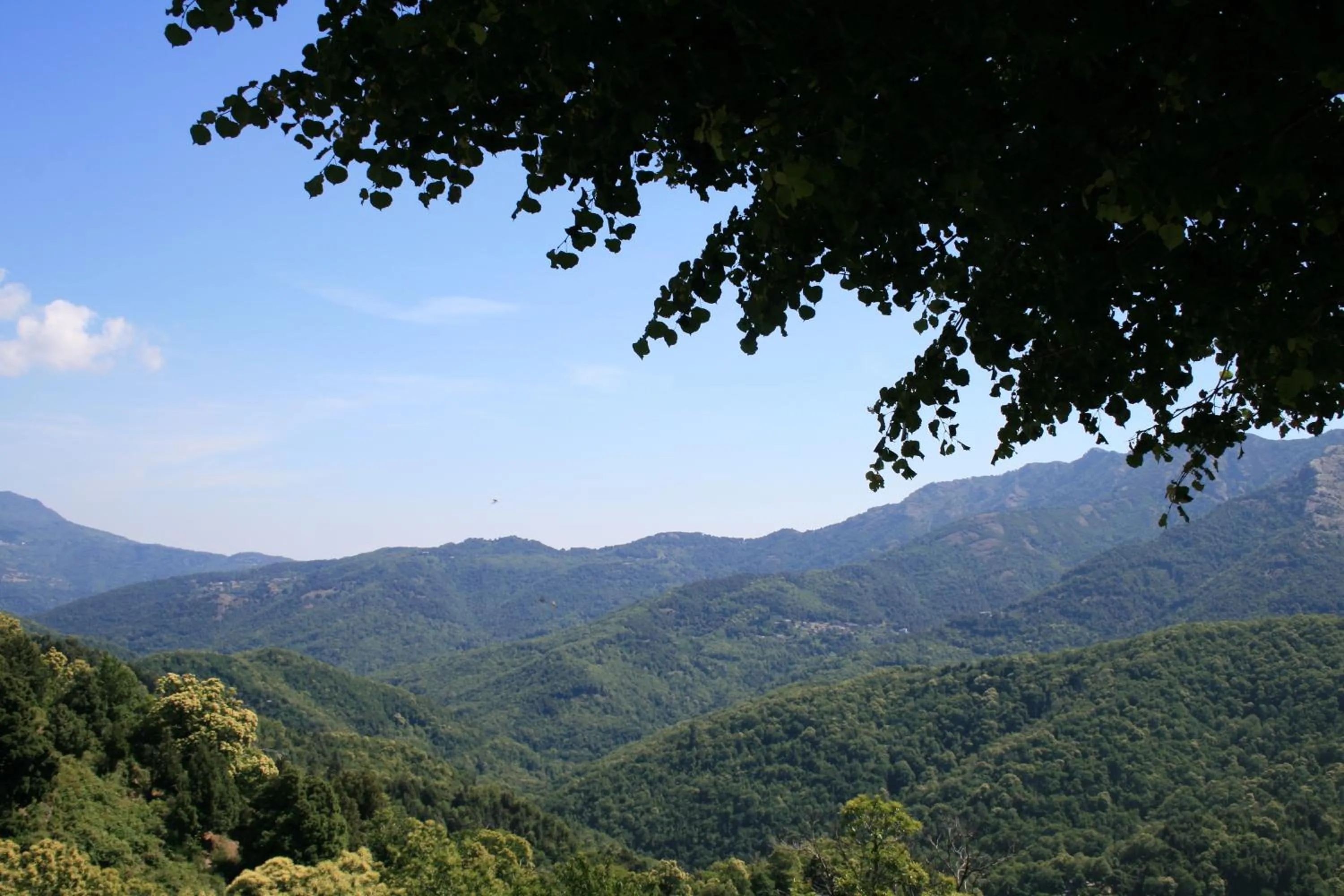 Natural landscape in Le Refuge Orezza