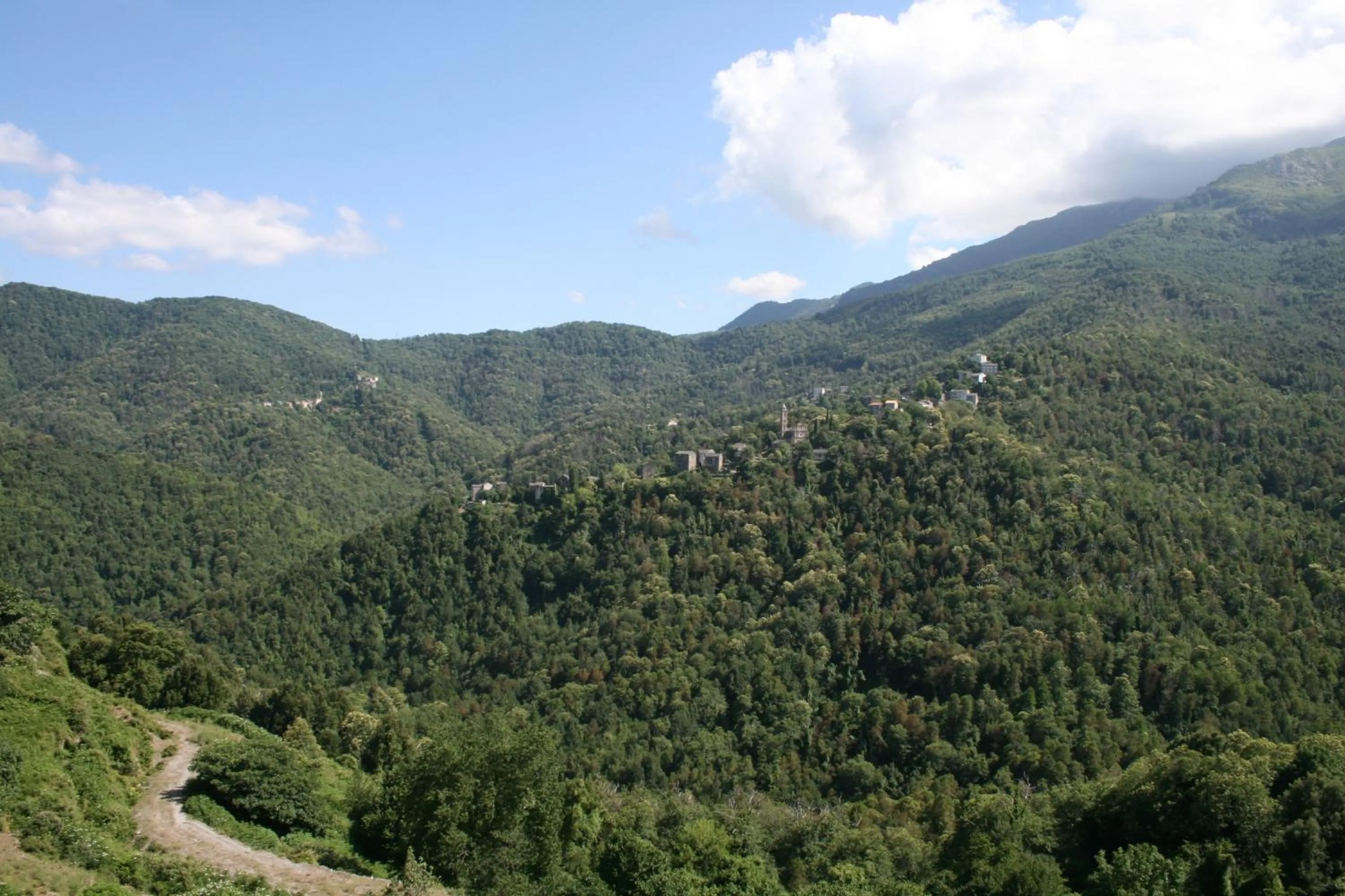 Natural landscape in Le Refuge Orezza