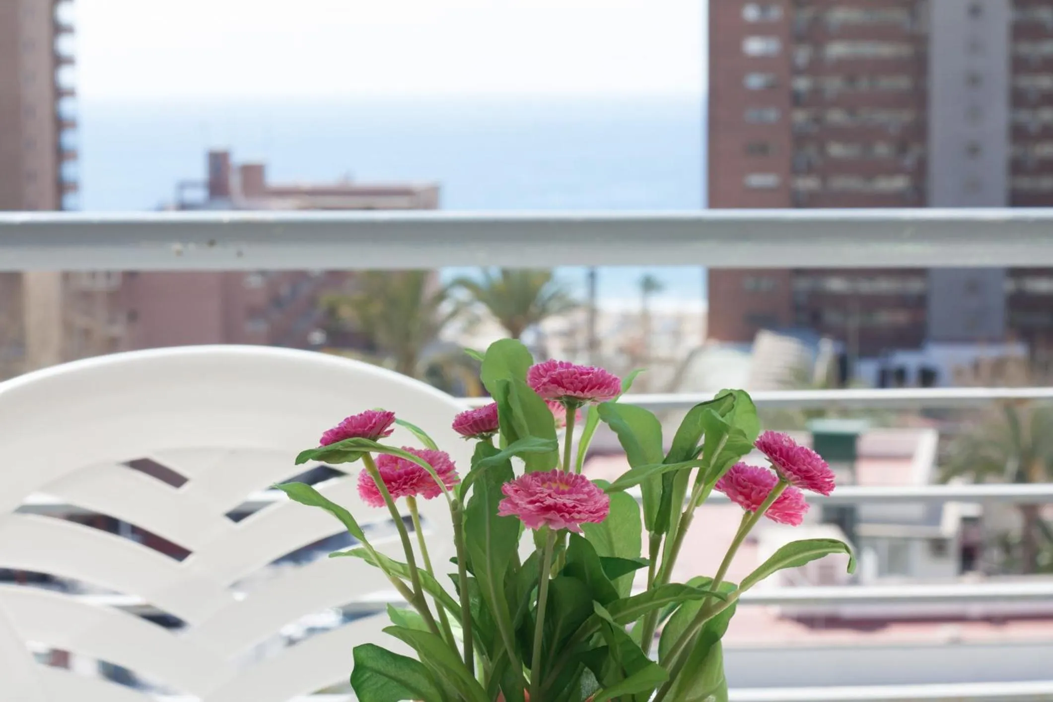 Day in Apartamentos Niza