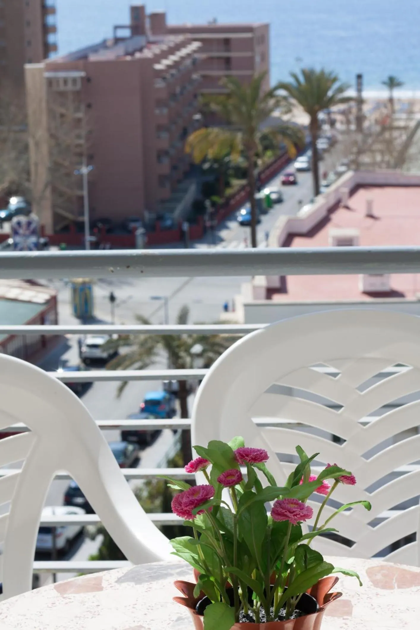 Day in Apartamentos Niza