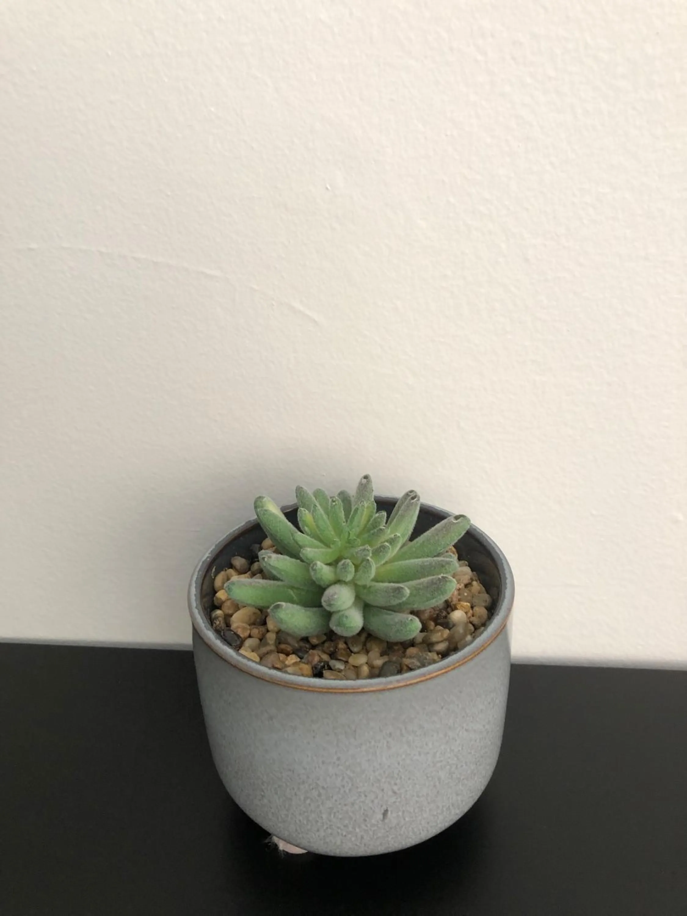 Decorative detail in Ballantyne at Mosman Apartments