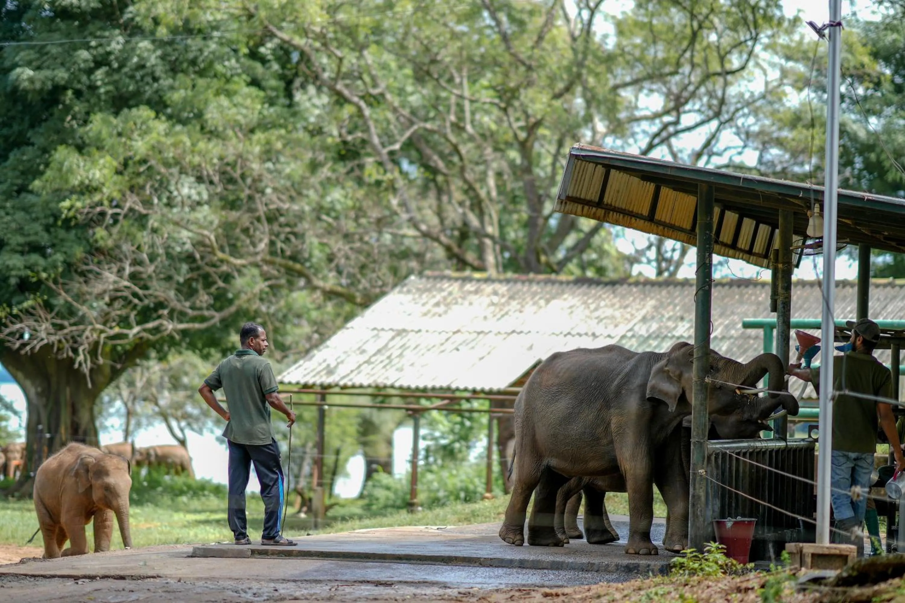 Natural landscape in Hotel Athgira
