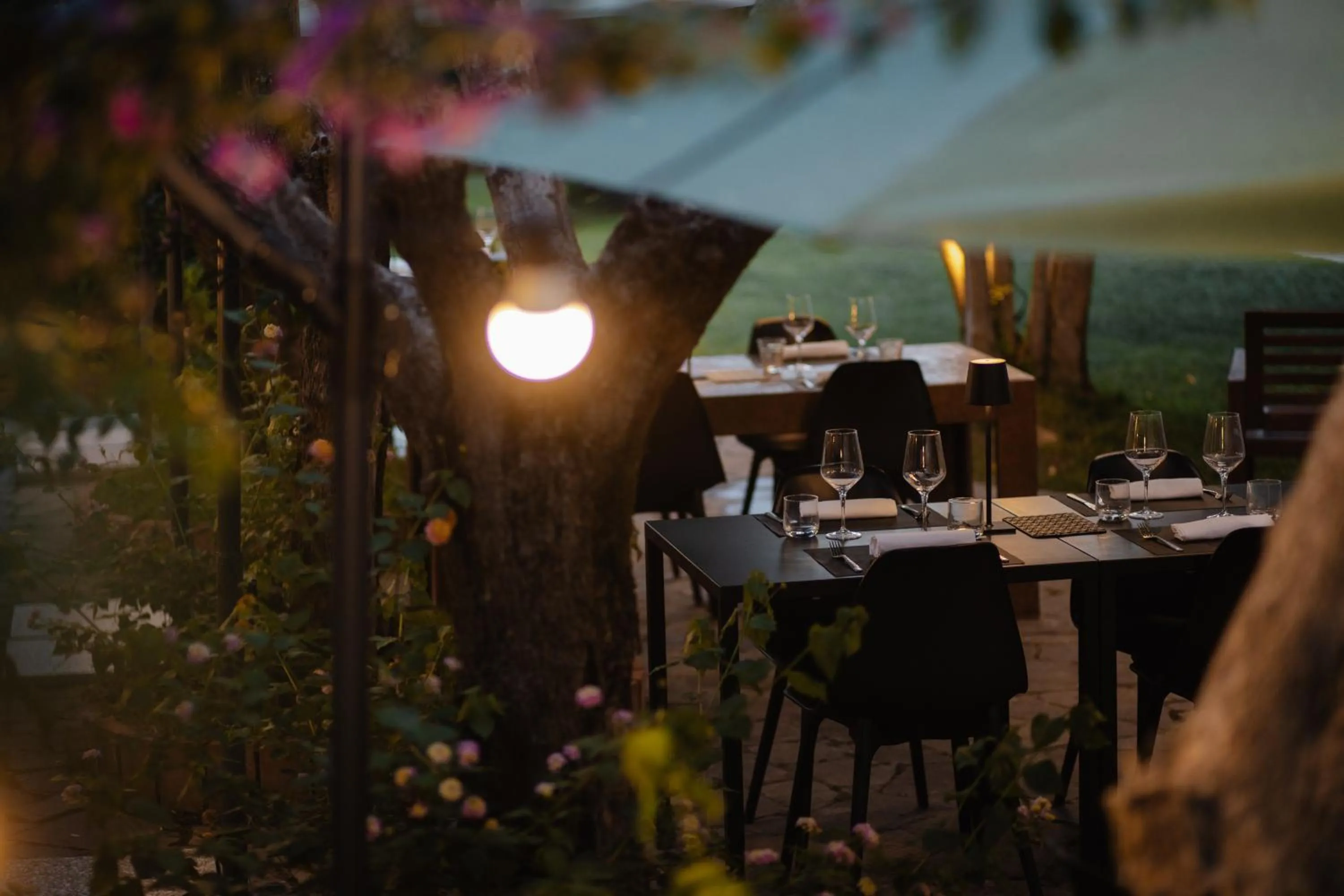 Restaurant/places to eat in Mami Sabaudia Hotel