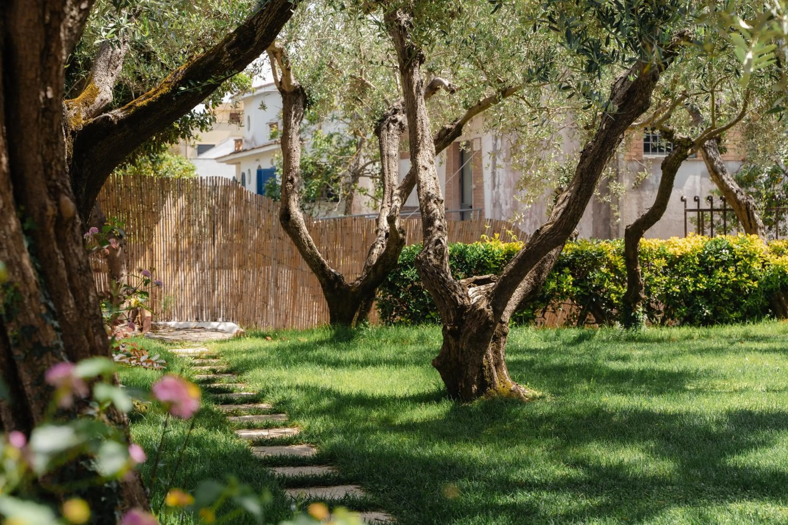 Natural landscape in Mami Sabaudia Hotel