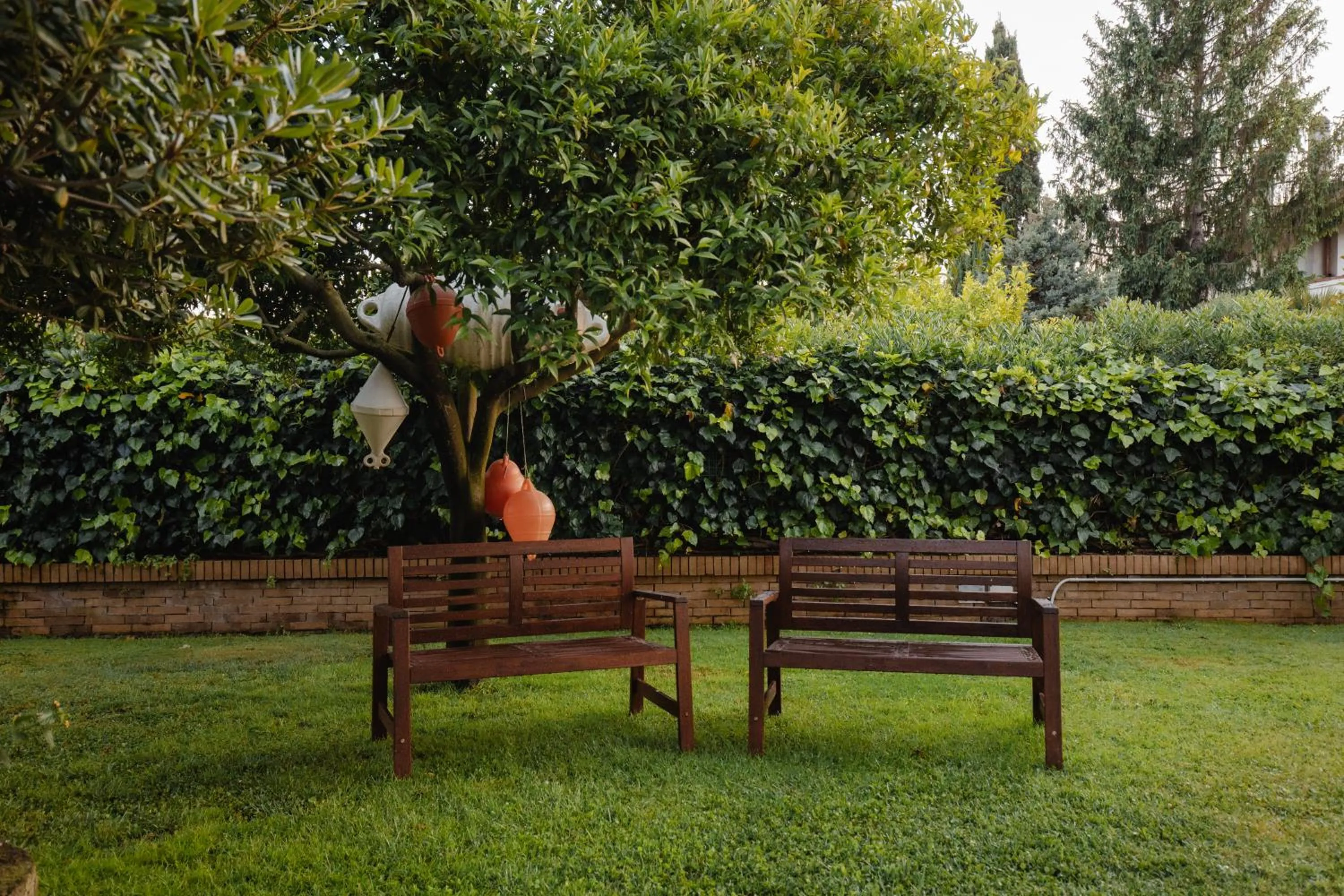 Garden in Mami Sabaudia Hotel