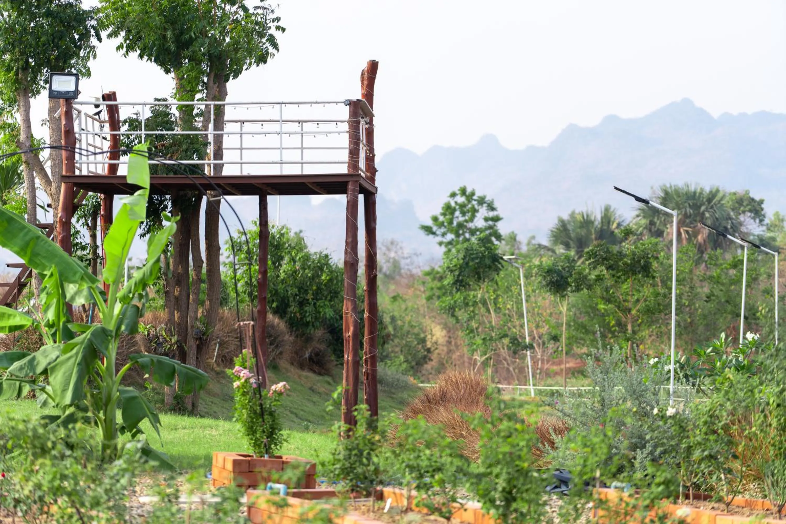 Day in Narucha Farmstay