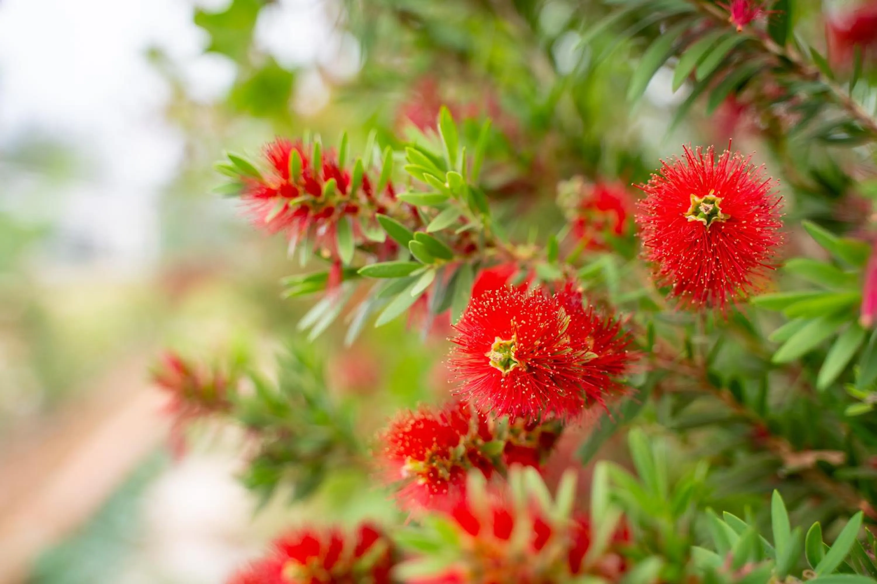 Day in Narucha Farmstay