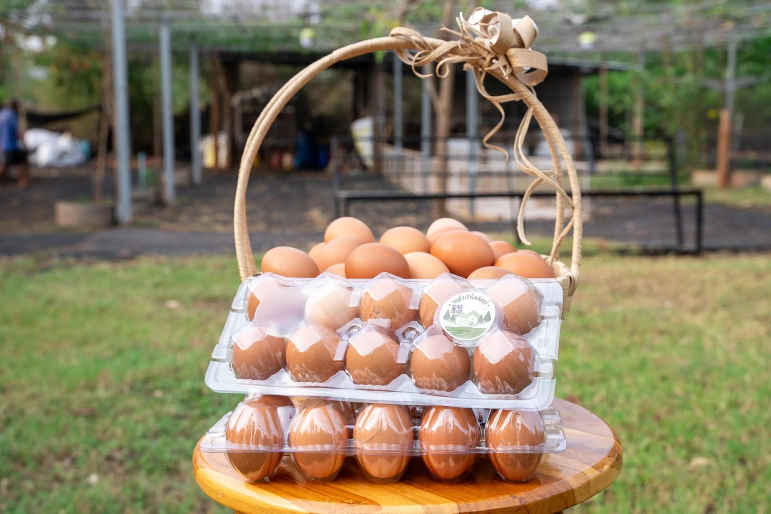Food in Narucha Farmstay