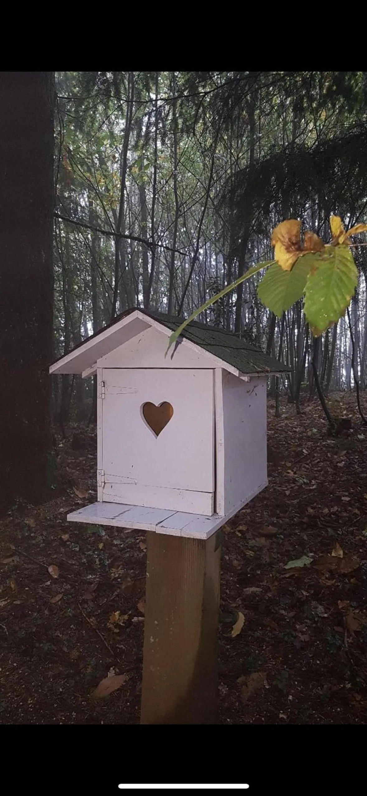 Kitchen or kitchenette in Bulle d'R